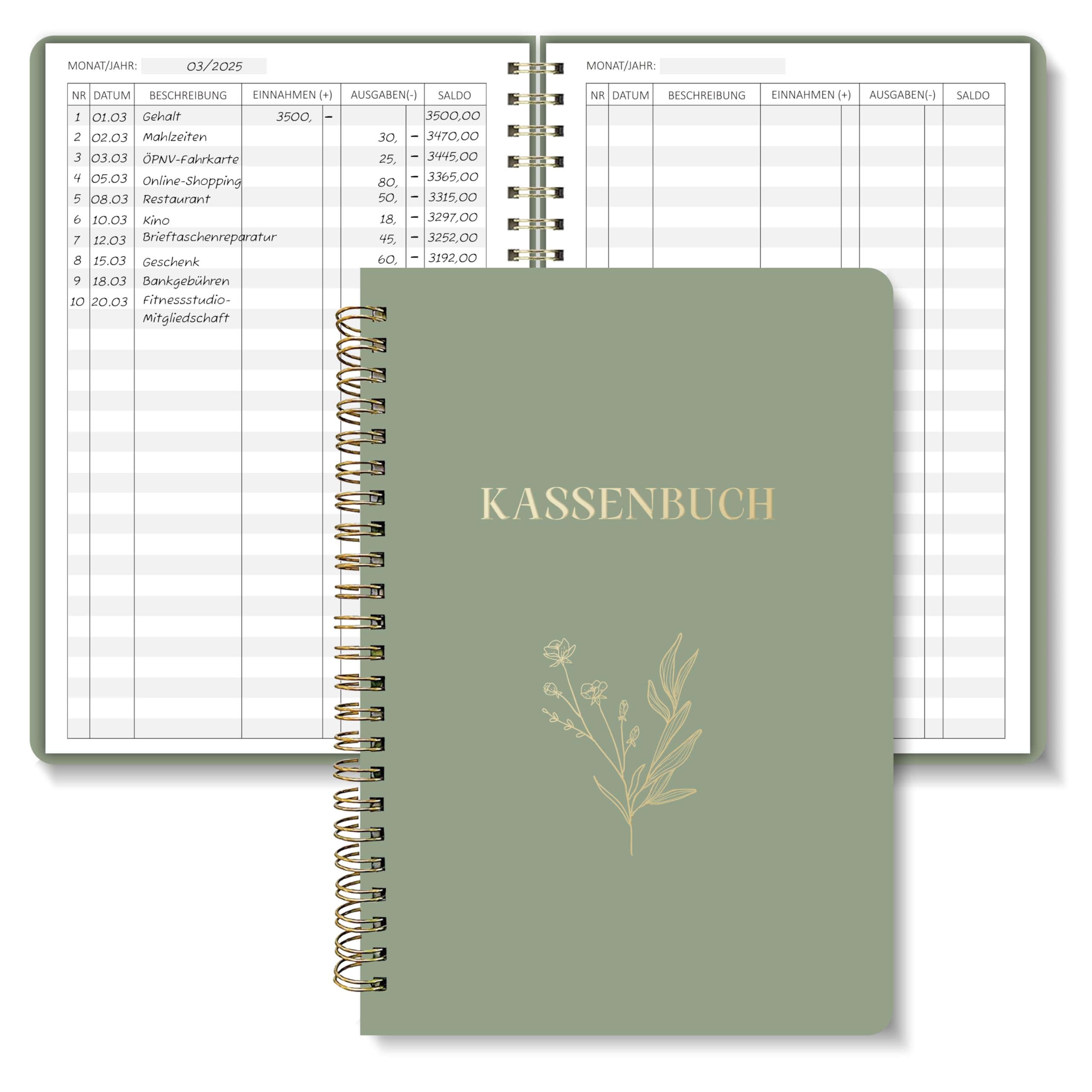 BIROYAL Budget Book, Green