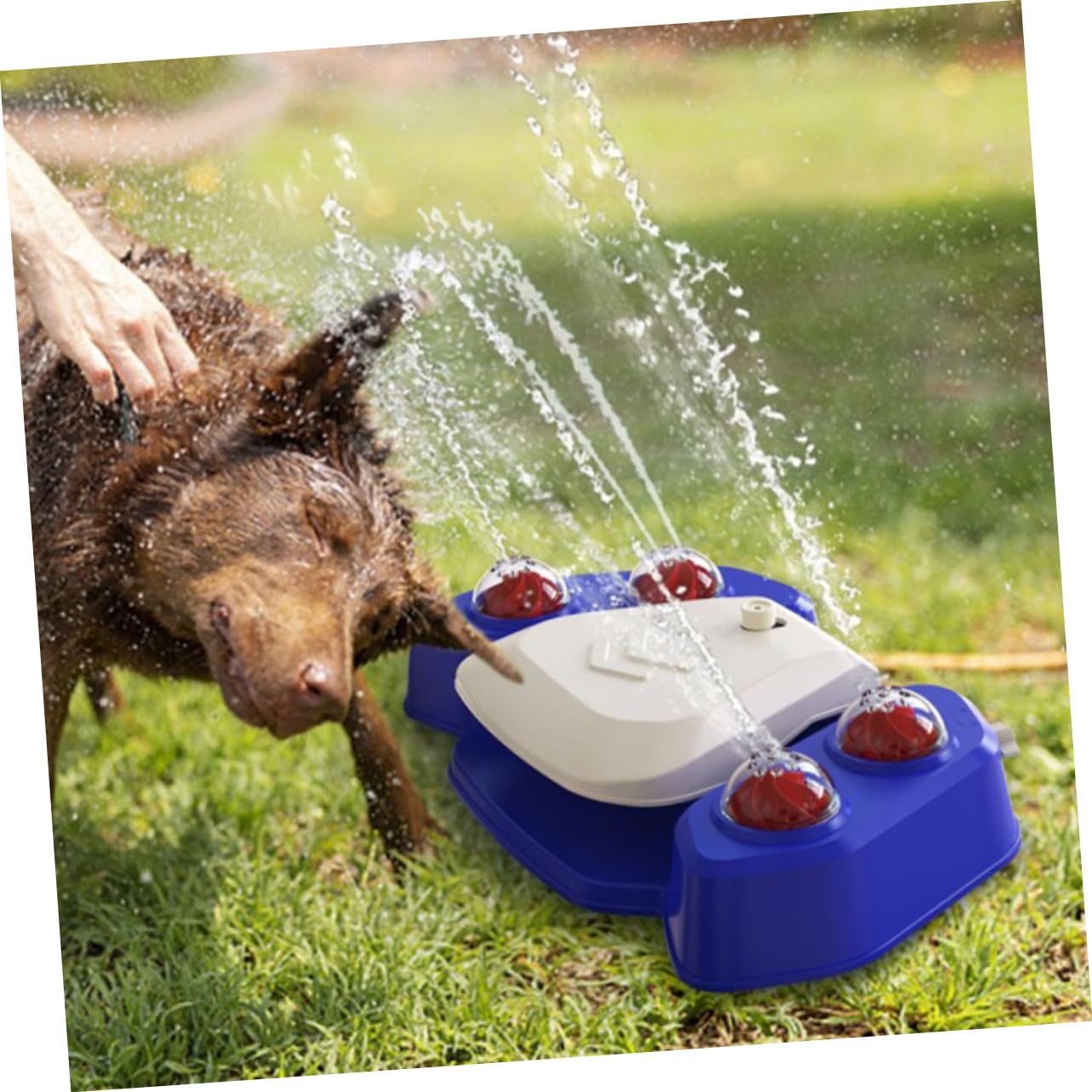 Kisangel Juguete Multifuncional para Baño De Perros y Bebedero Automático Dispositivo De Rociado Divertido para Mascotas para Duchas