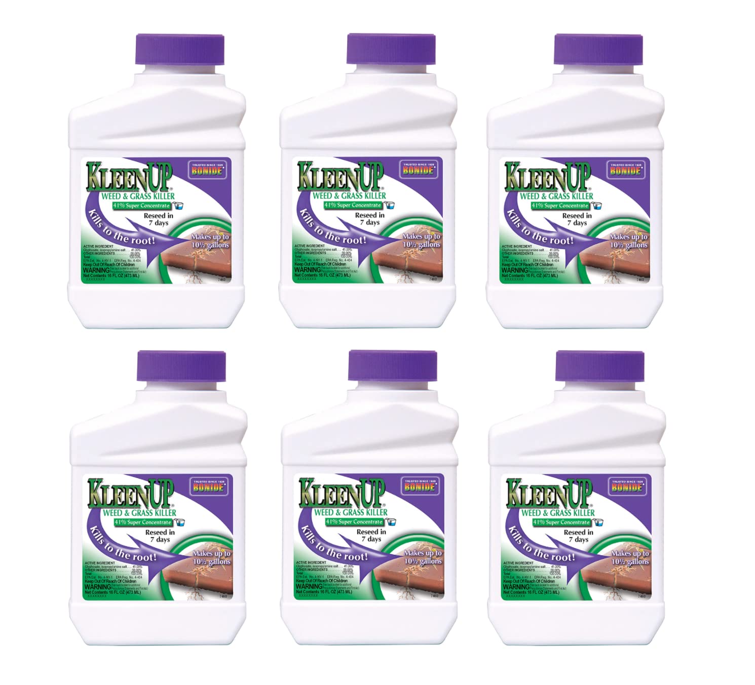 Kleenup W&G Conc 16oz