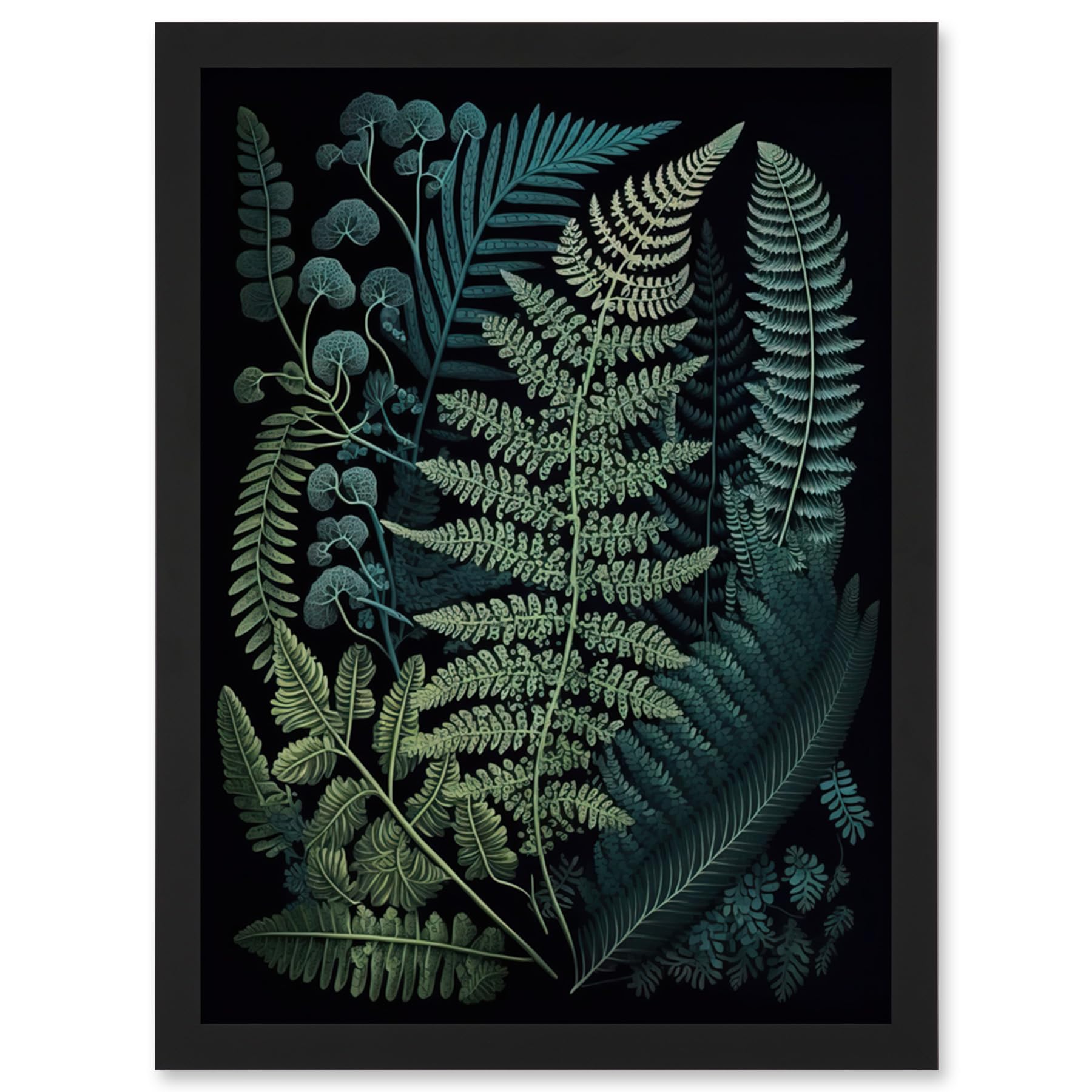 Artery8 Leaf Illustration Fern Fronds Ernst Haeckel Style Wall Art PrintA4 Size