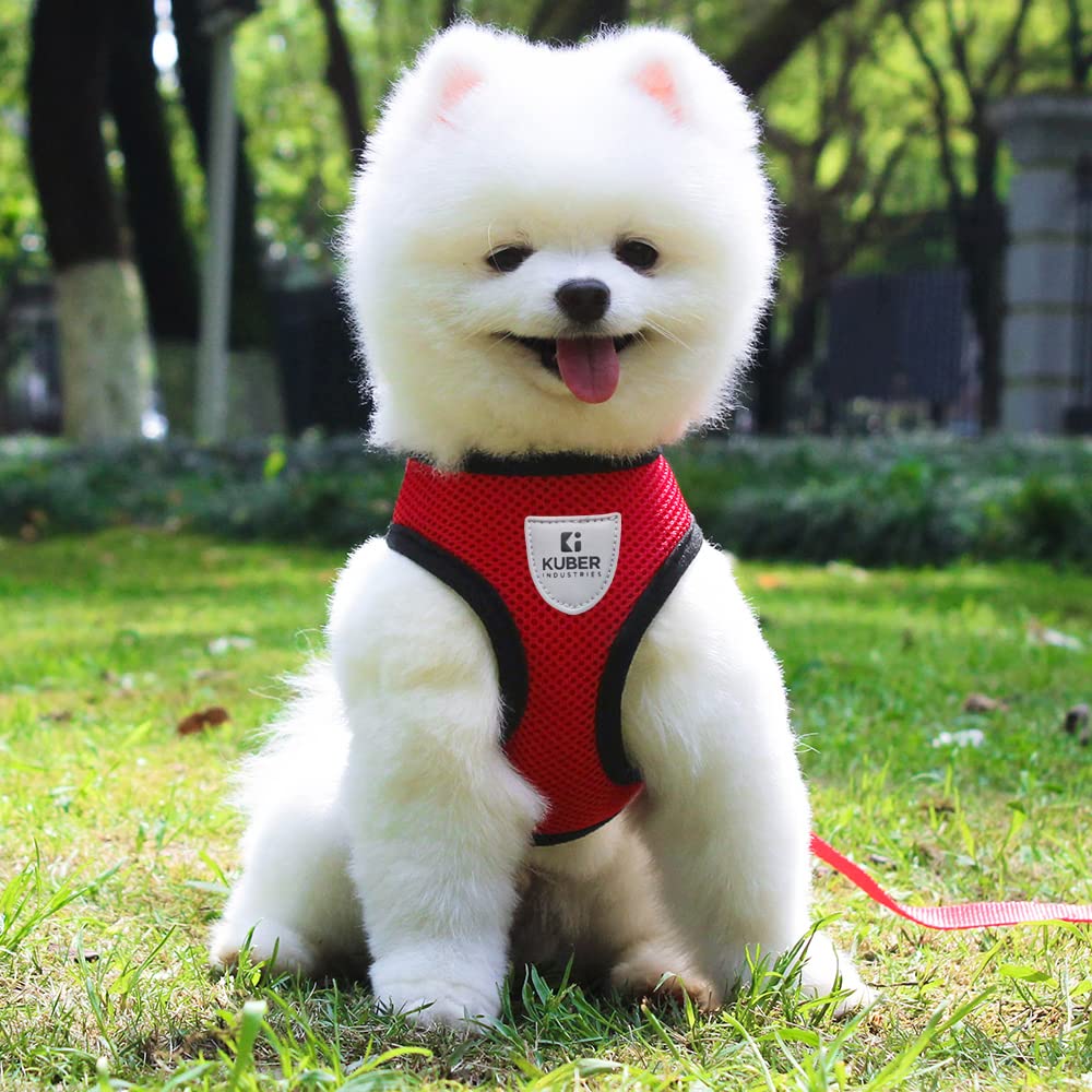 Kuber Industries Dog Harness with Adjustable Leash | Breathable Polyester Mesh | Large Size | HAT-818 | Comfortable No-Pull Grip | Quick Release Buckles | Red | Comfortable and Secure Dog Harness (B0BLSVQ51M) Amazon Price History, Amazon Price Tracker