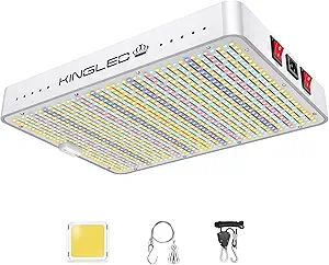 best grow light bulbs