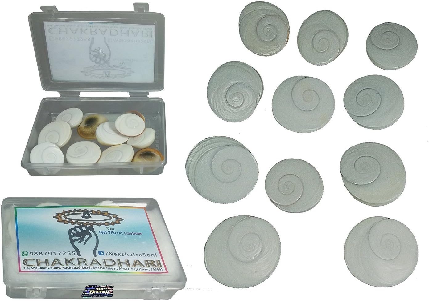 100% Original Gomati Chakra set of 11 Chakra's Energized Mantra Siddha Rare