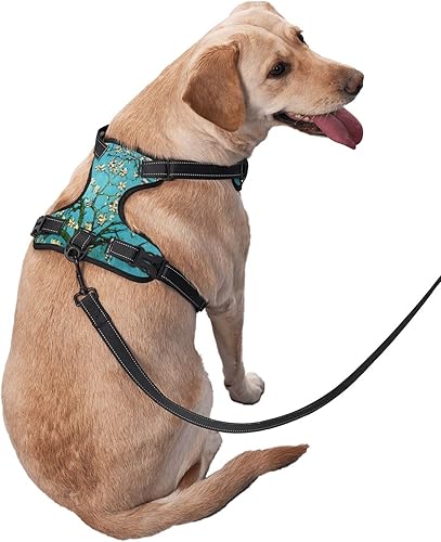 Miniatura 2 de Arnés para perros medianos con correa sin tirones, 2 clips para correa, ajustable, suave, con flores de Van Gogh, juego de chaleco para perro,