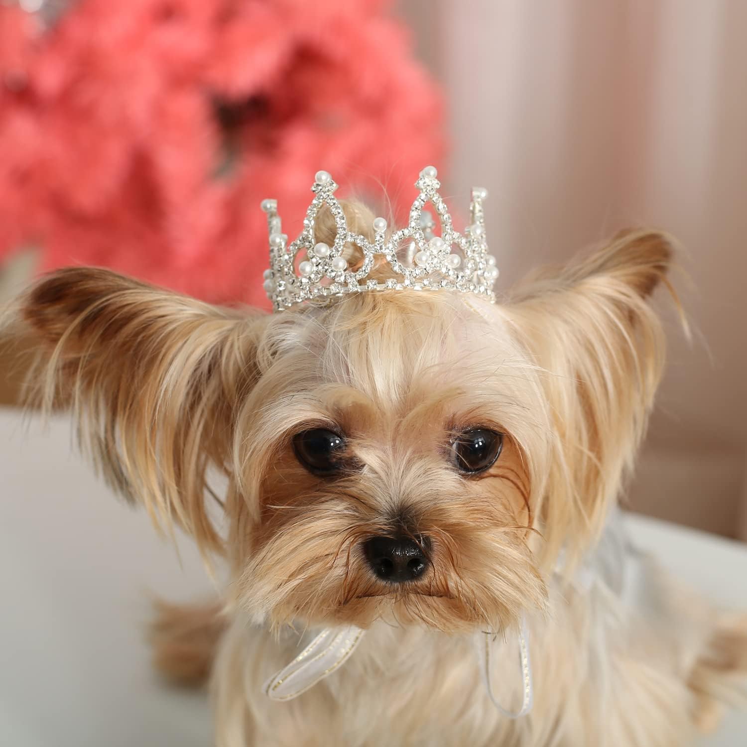 Lovelyshop Pet series Silver Plated Royal Rhinestone Pearl Full Round Dog/Cat Crown for Costume Hair Accessories-XSmall Size