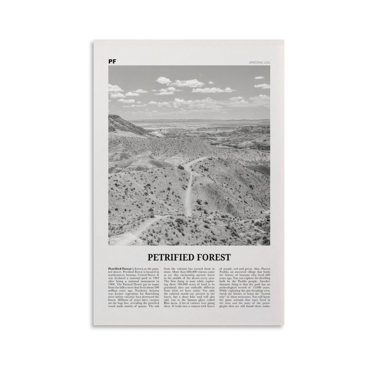 LZTEN Petrified Forest National Park Print Black And White, Petrified Forest Wall Art, Petrified Forest Poster, Petrified Forest, Arizona, USA Canvas Wall A