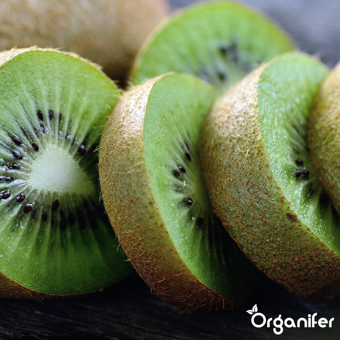 Fertilizante Líquido Orgánico 2x1L Para Kiwi – Favorece Hojas Lujosas Y Frutas Saludables – Organifer
