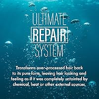 Vista 5 de Hair Bar NYC - Kit de viaje Ultimate Hair Repair System - Rejuvenece el cabello seco dañado y el cabello tratado con color, infundido con queratina