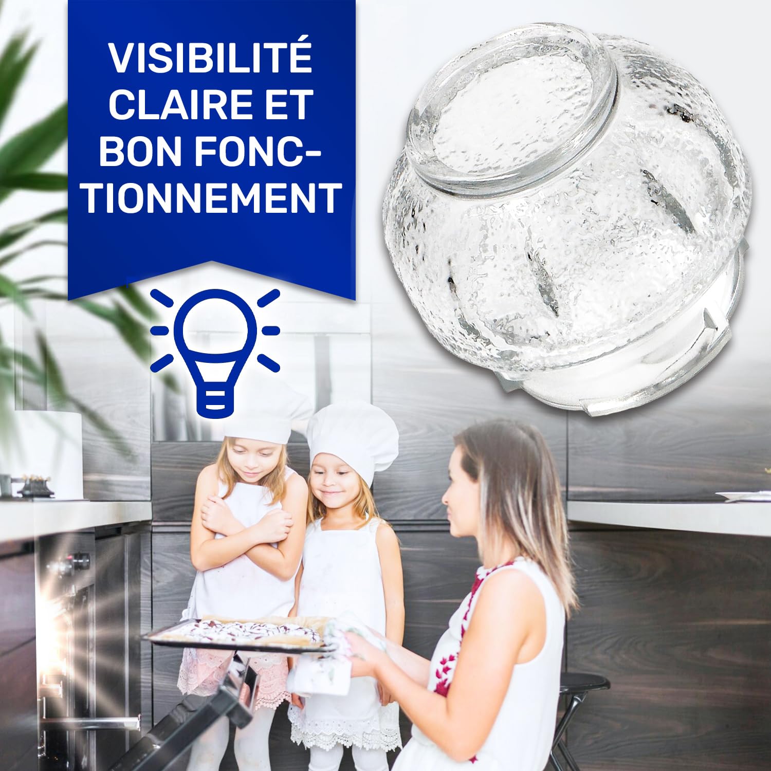 Couvercle en Verre de Ampoule pour Four avec le Code Original 8087690015 pour Electrolux pour Zanussi pour AEG - MONTERAL
