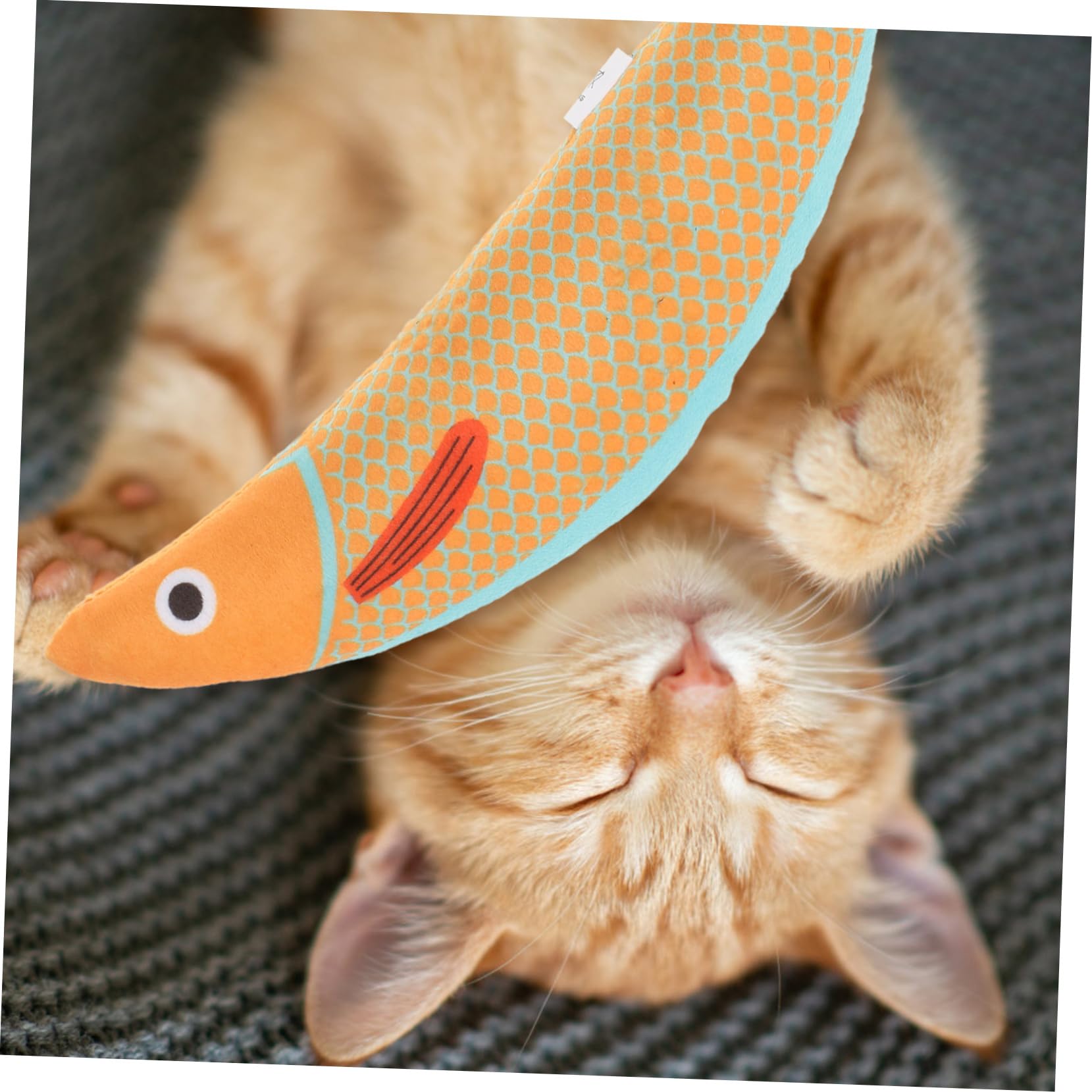 YARNOW Jouet à L’Herbe à Chat en Peluche pour Chat, Forme Poisson, à Mâcher, à Griffer, pour Jouer et Se Divertir Longtemps