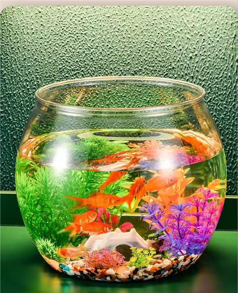 Amazon | 金魚鉢 水槽 丸型水槽 丸型金魚鉢 透明 シンク 飼育水槽