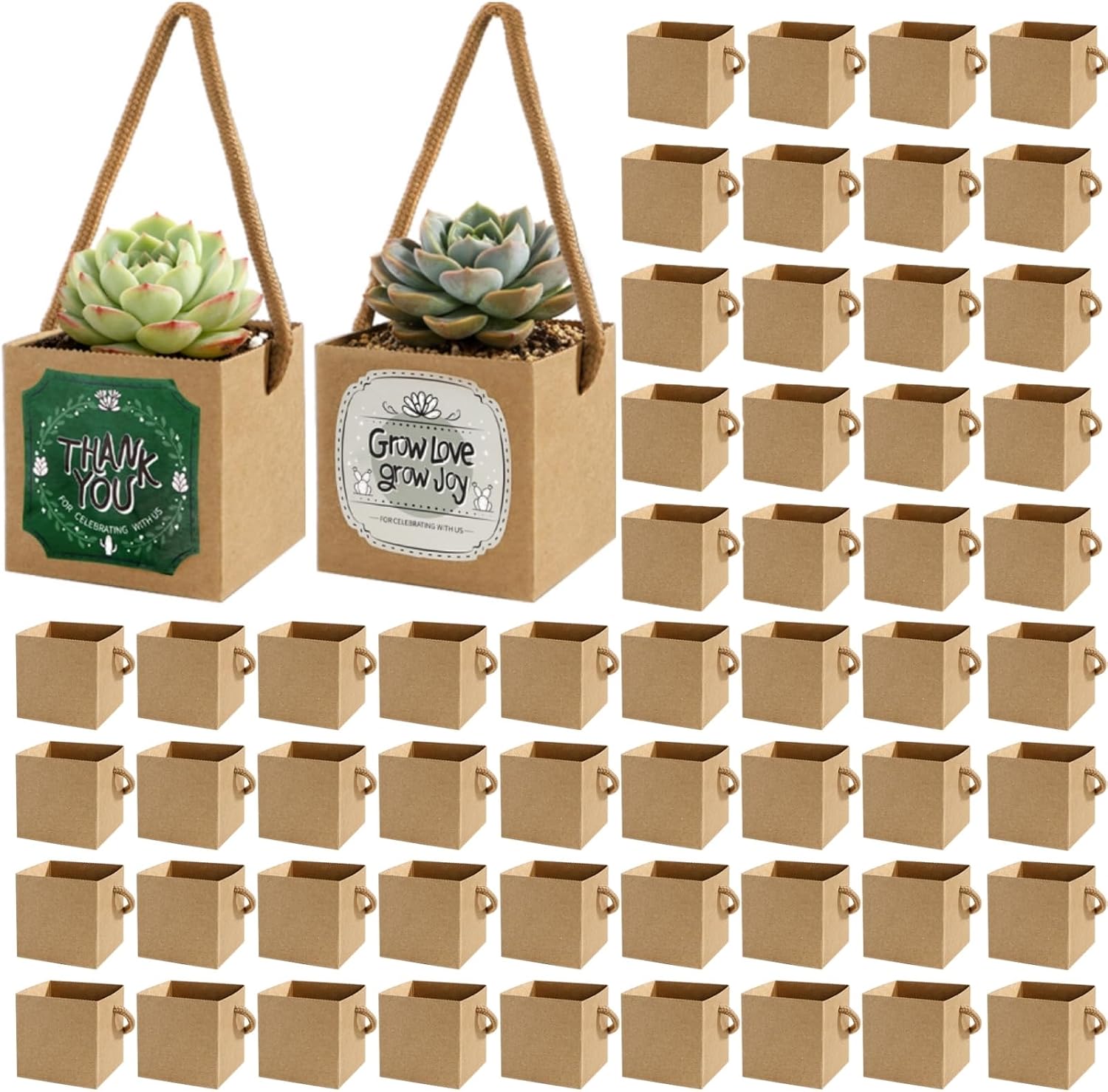 Covzoe 100 Pack Succulent Wraps with Handle, Fits 2.5" Pots