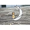 Product Photo 2