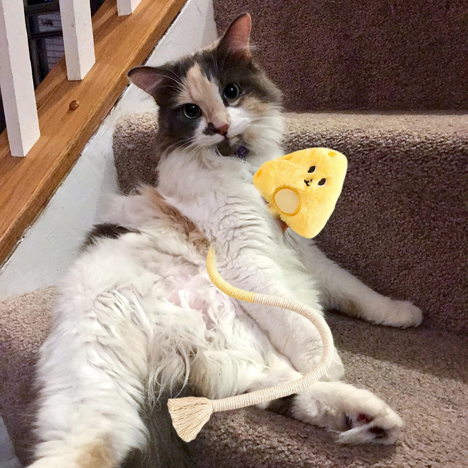 Jouet pour Chat, Jouet Chat Interieur,Jouet Chat Interactif, Jouet Interactif pour Chats, Jouant À Mâcher Nettoyage des Dents, Naturel Et Sain [Jaune]