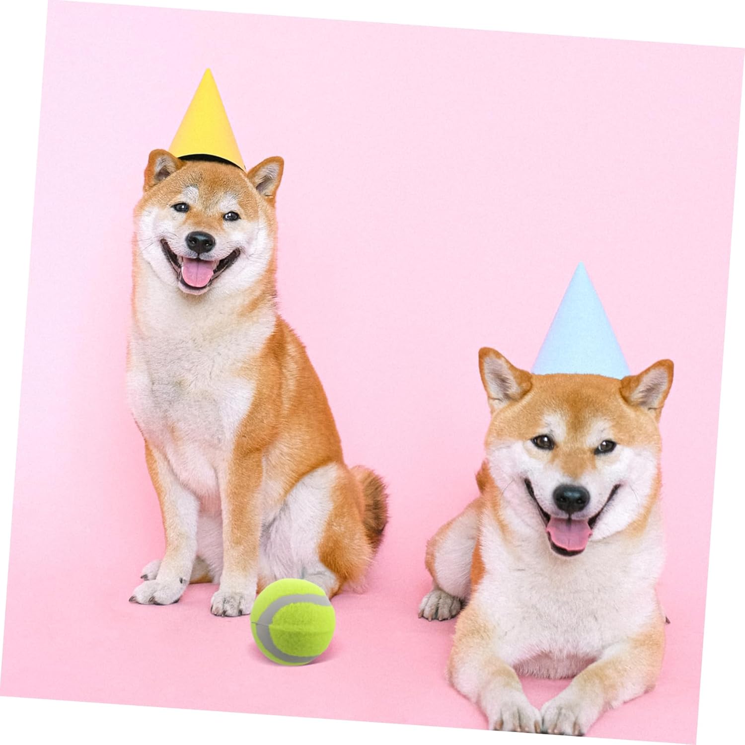 SUPVOX 22pcs Rubber Dog Tennis for Small Medium Large Dogs Interactive Chew Toys for Fetch Training and Pet Supplies for Active Playtime