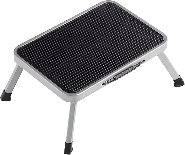 SONGMICS Marchepied 1 Marche Pliable Gris
