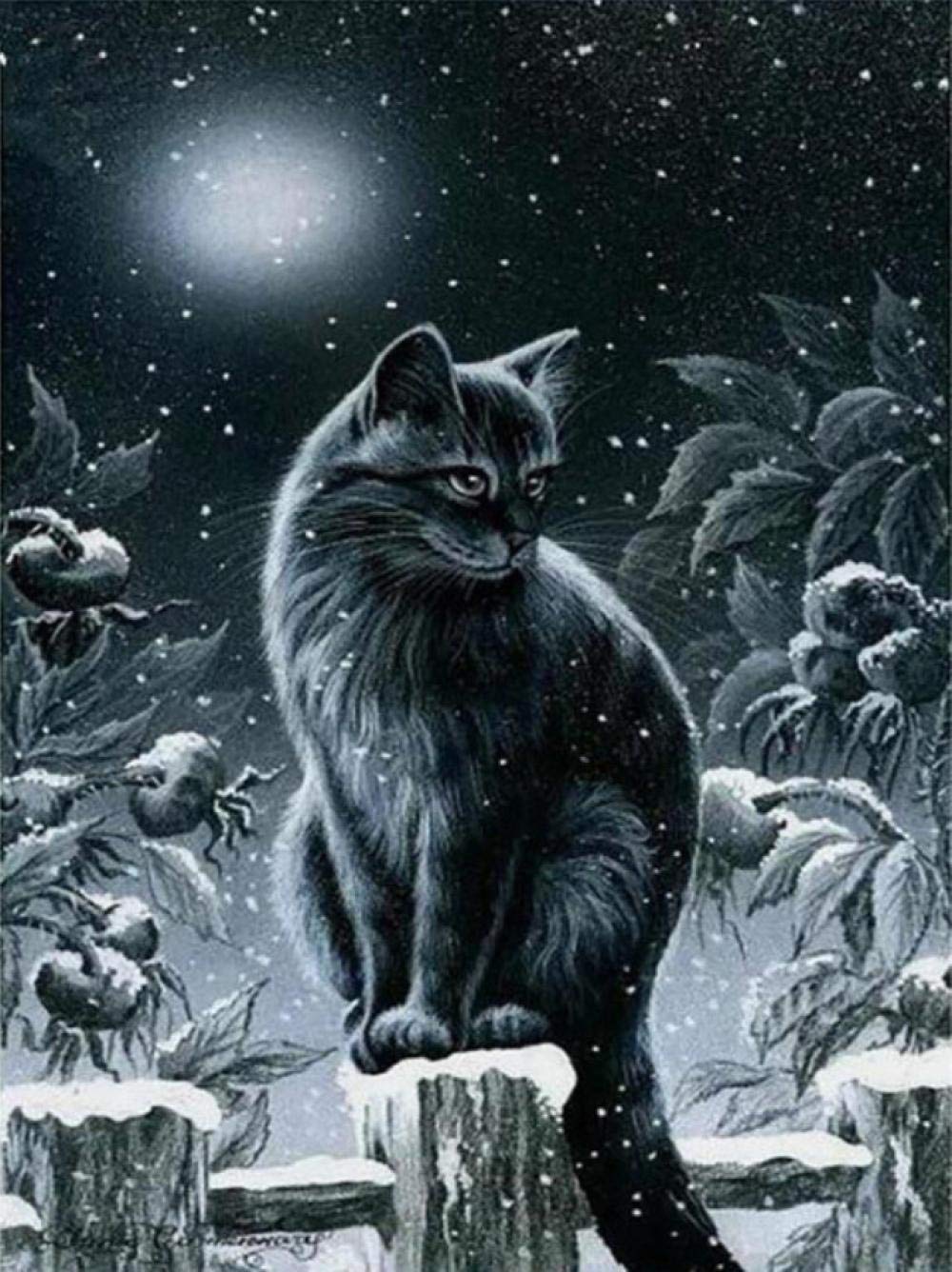 Peinture par numéro chat sur toile 40x50cm avec kit de dessin complet