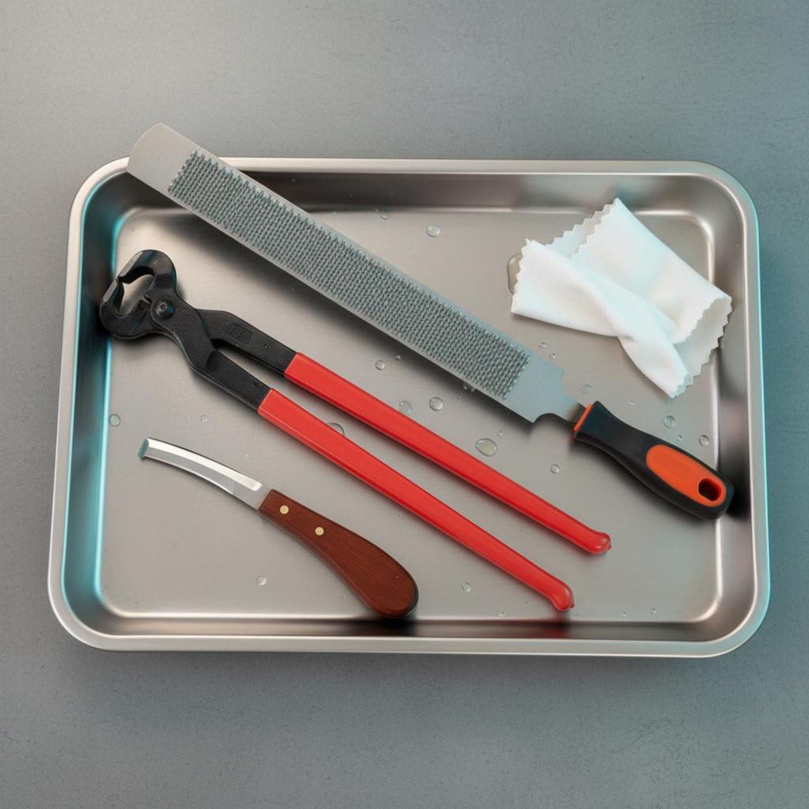 Set Cura Zoccoli Taglio Affilato Trimmer Zoccoli Impugnatura Ergonomica Attrezzatura Veterinaria per Veterinari , 16 Pollici