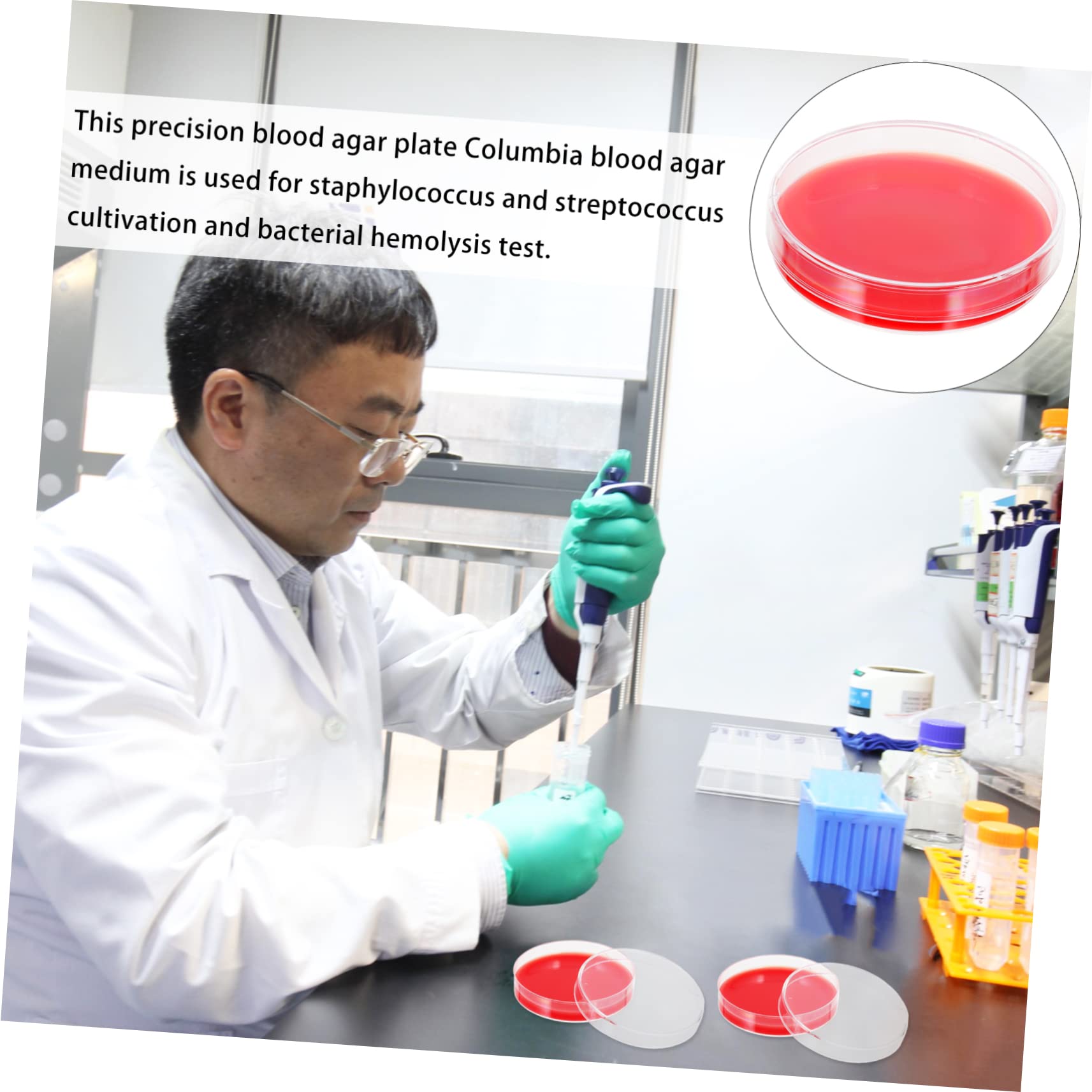 GLEAVI 20 Piezas Placa de Agar placas de medio de cultivo placa petri con agar placa de agar-petri placas de agar medio de crecimiento medio de cultivo agar placa de Petri Colombia