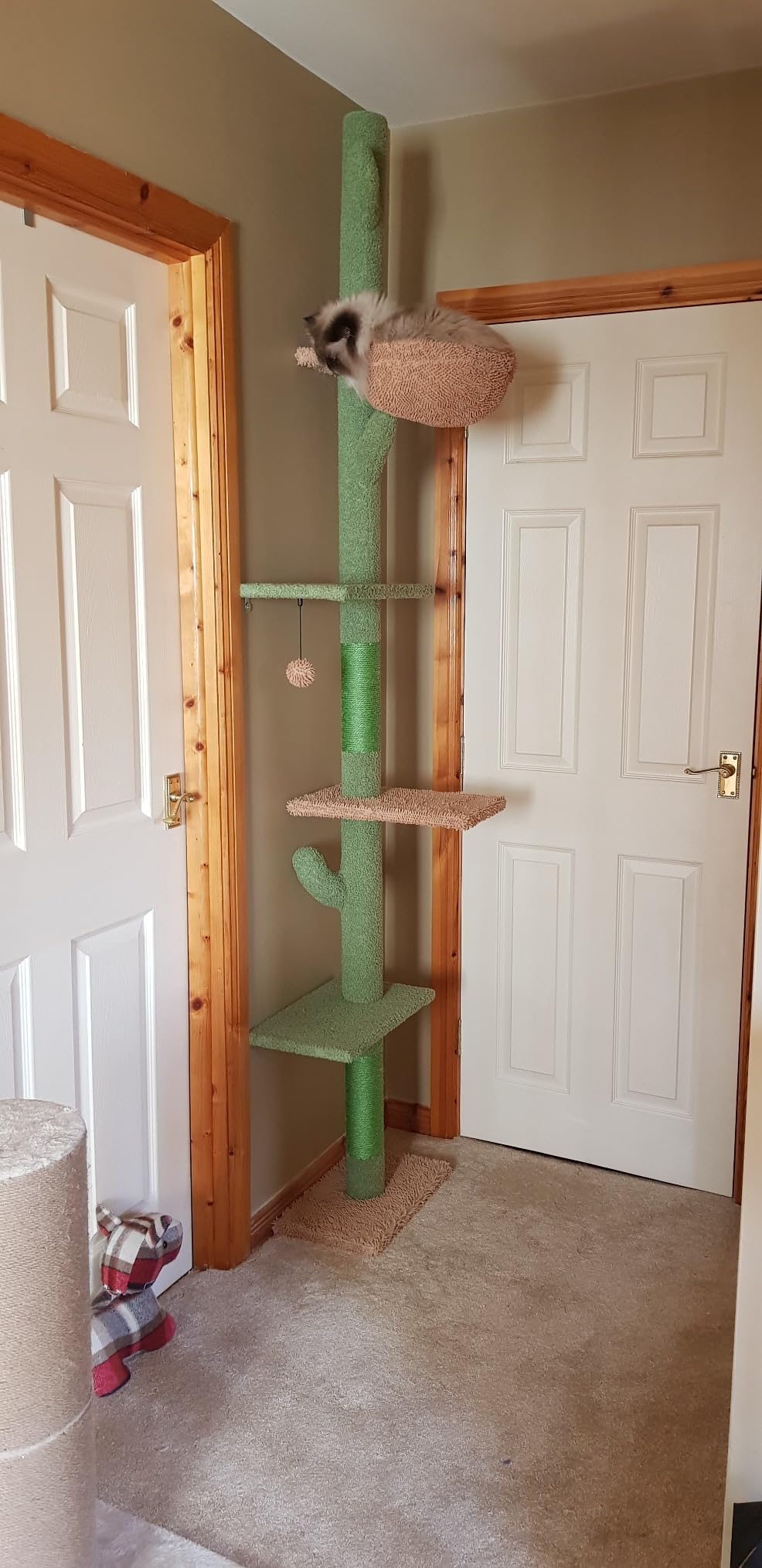 Customer photo