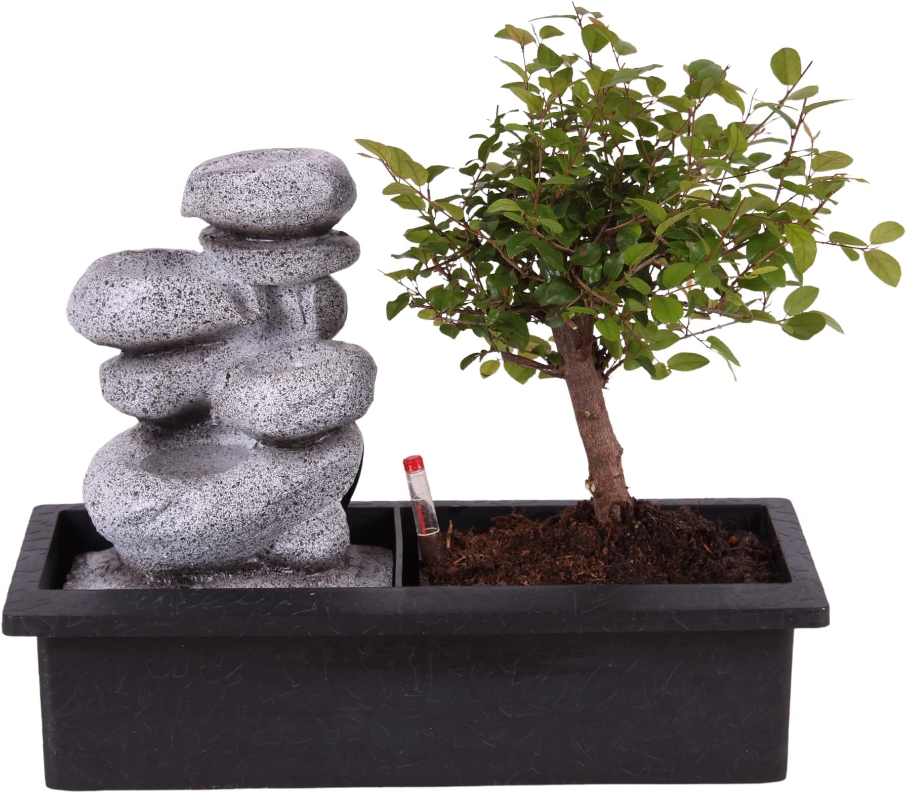 Plante artificielle Semblable à l'entretien Sans Plastique Faux Bonsaï Arbre en pot Ornement Accueil Hôtel Jardin Décor Cadeau | FR