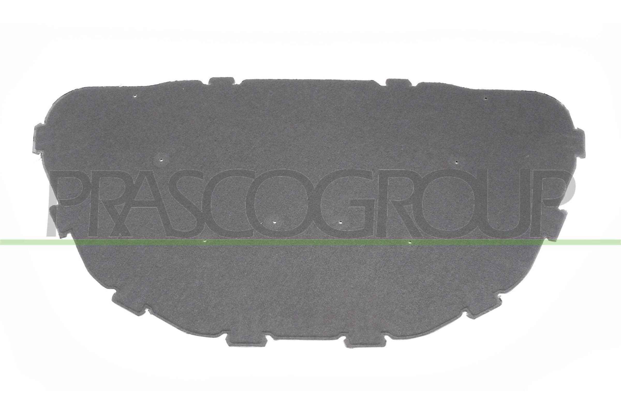 PRASCO BM7021945 Motorraumdämmung Kompatibel mit BMW X1 E84 51481234000