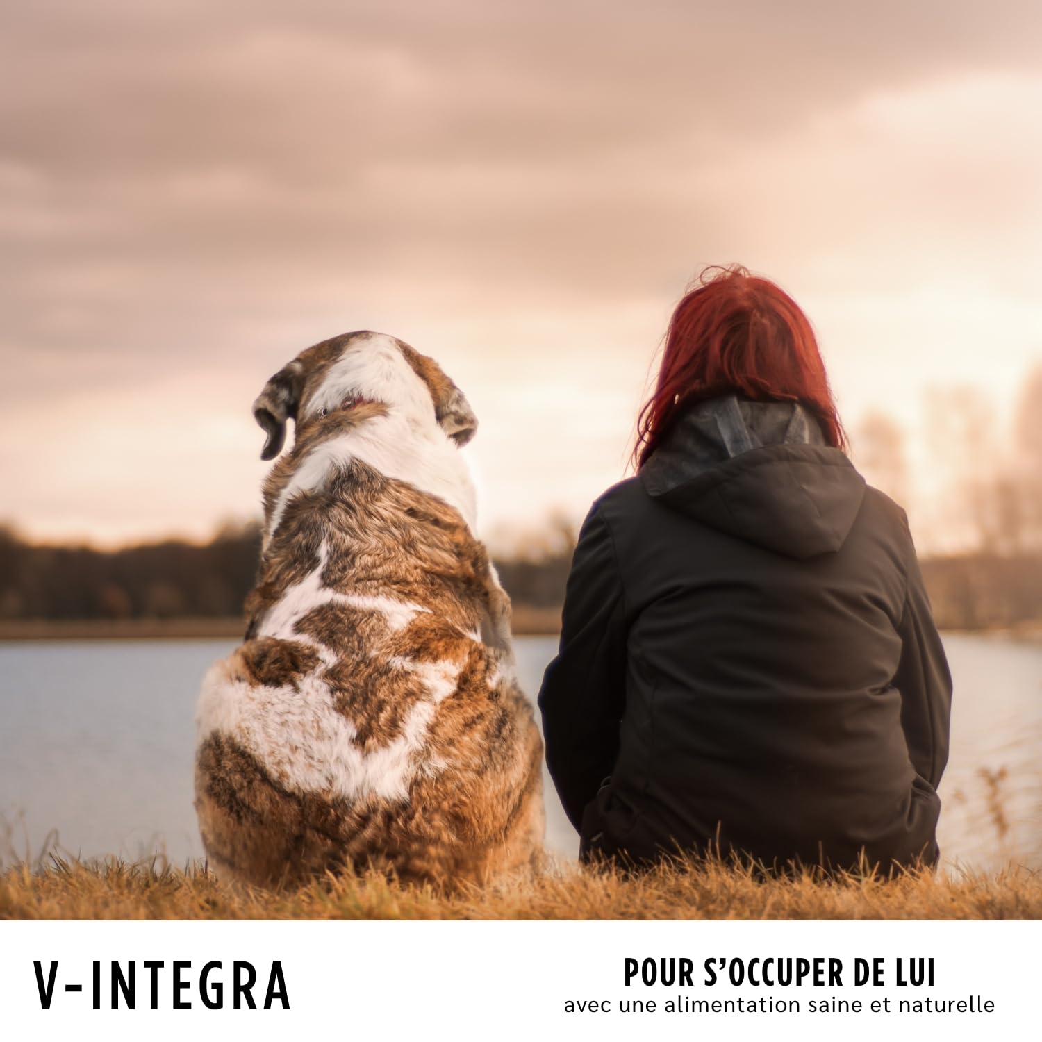 V-INTEGRA Chien Agé - Supplément Complet Riche en vitamines et minéraux pour la Ration ménagère et Barf des Chiens âgés - 200 g - Produit en Italie