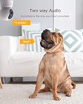 Arenti 360° View 5MP Pet Camera, 5G&2.4G Wi-Fi Indoor Security Camera, Pan & Tilt, One-Touch Cruise, Motion Tracking, Human Detection, Sound Detection, Night Vision,Two-Way Audio, Works with Alexa