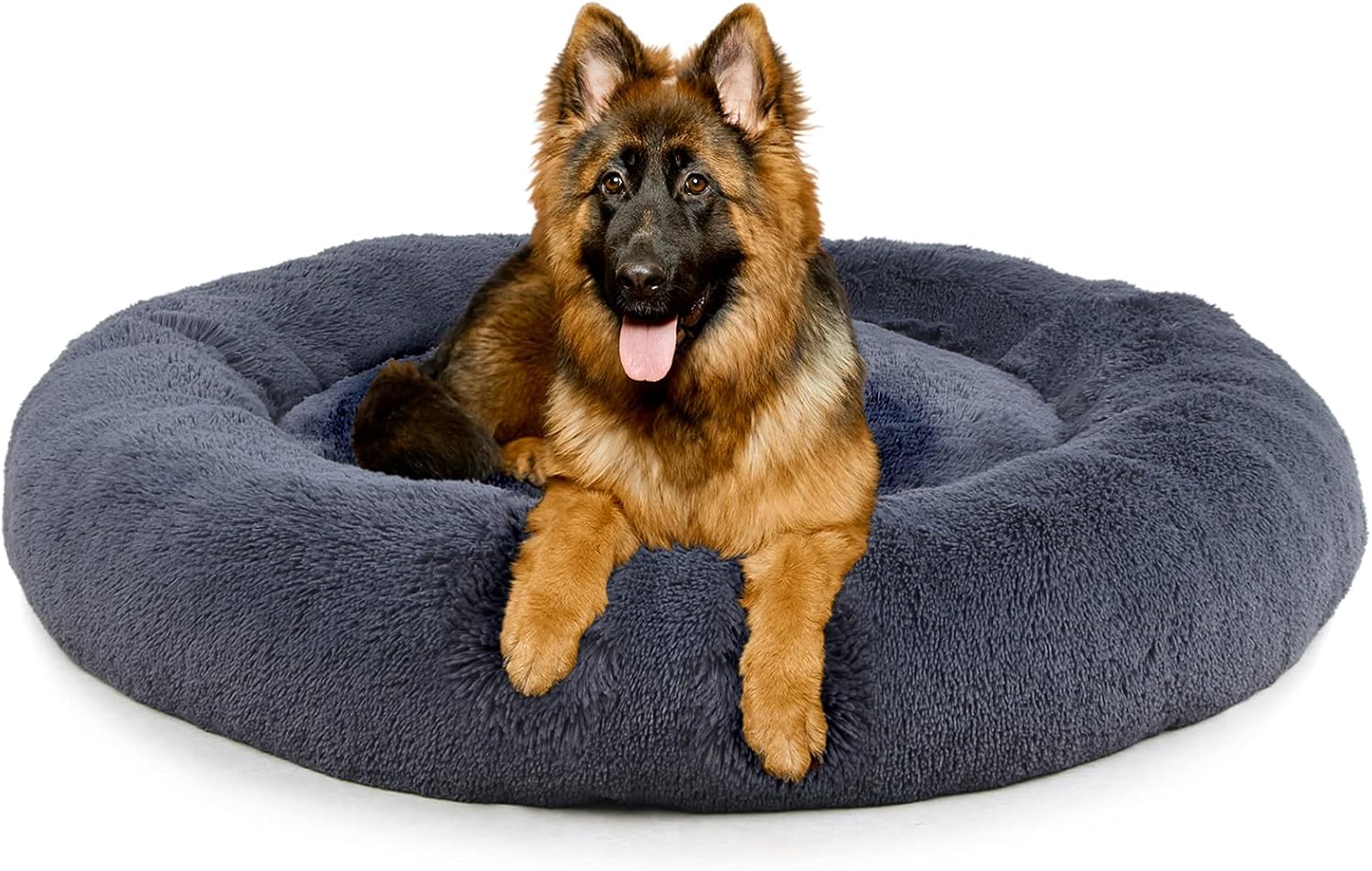 non chew dog bed