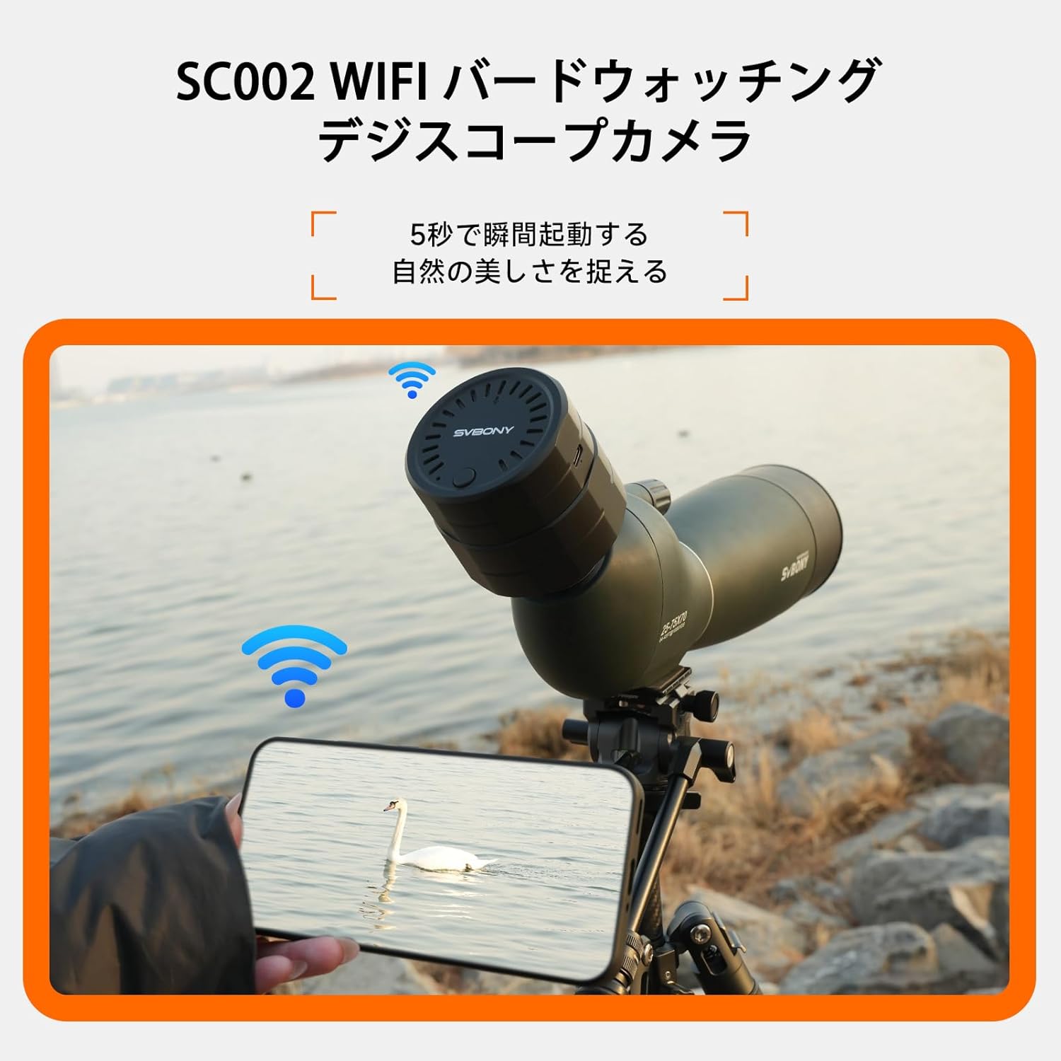 Smartphone screen showing photo and video capture options within the SVBONY Cam app, with a bird in the view.