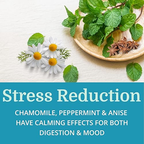 Miniatura 7 de AlkaPan (2 unidades) Mejor proceso alcalino - Suplemento digestivo natural - Enzimas pancreáticas con superalimentos ricos en antioxidantes y