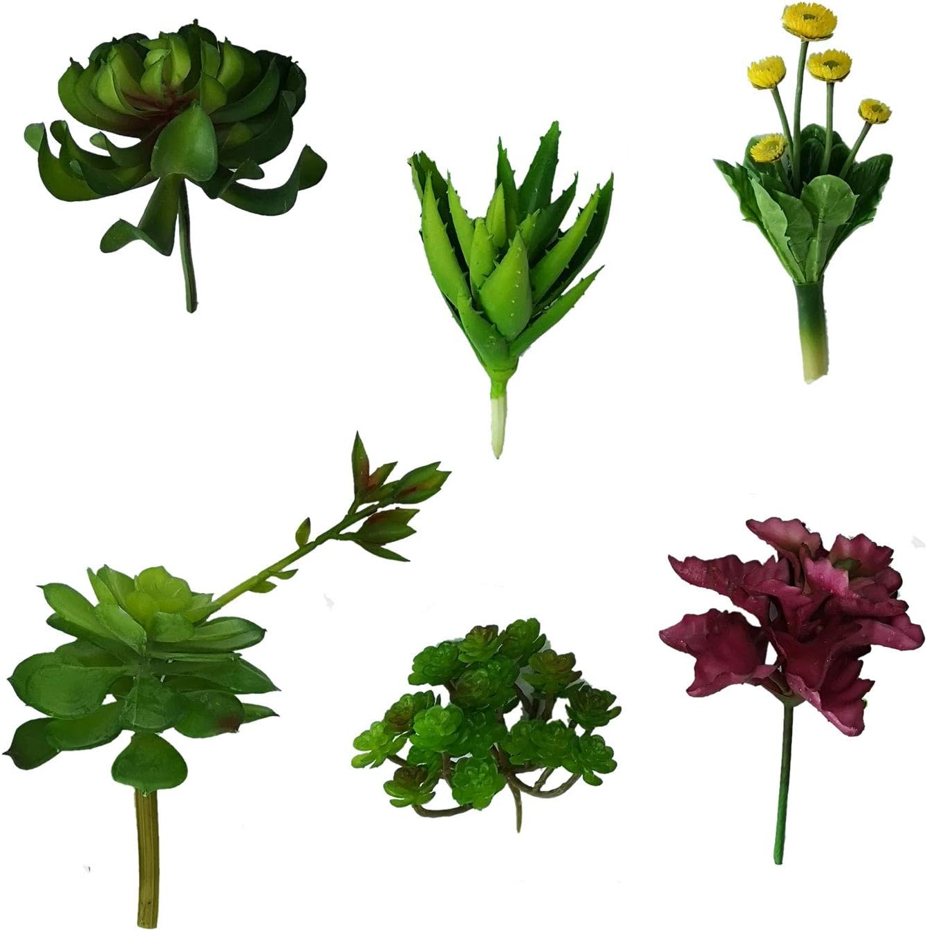 Set of 6 All Kinds of Green Artificial Succulent Plants (Two)