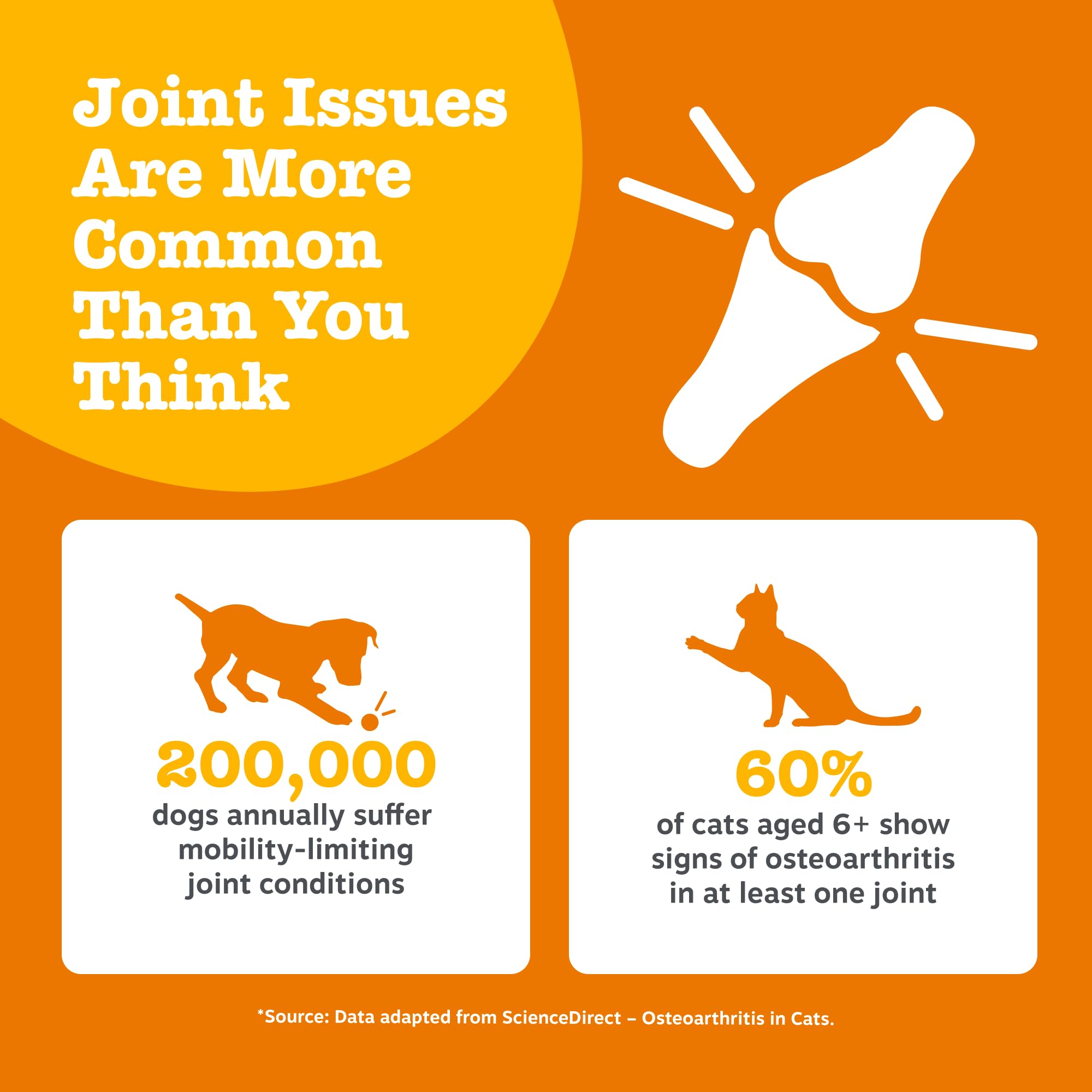 Zesty Paws Hip & Joint Salmon Oil | Joint Support for Active Pets | Omega 3 | Helps Maintain Healthy Joints | Salmon Oil for Dogs and Cats | 250ml