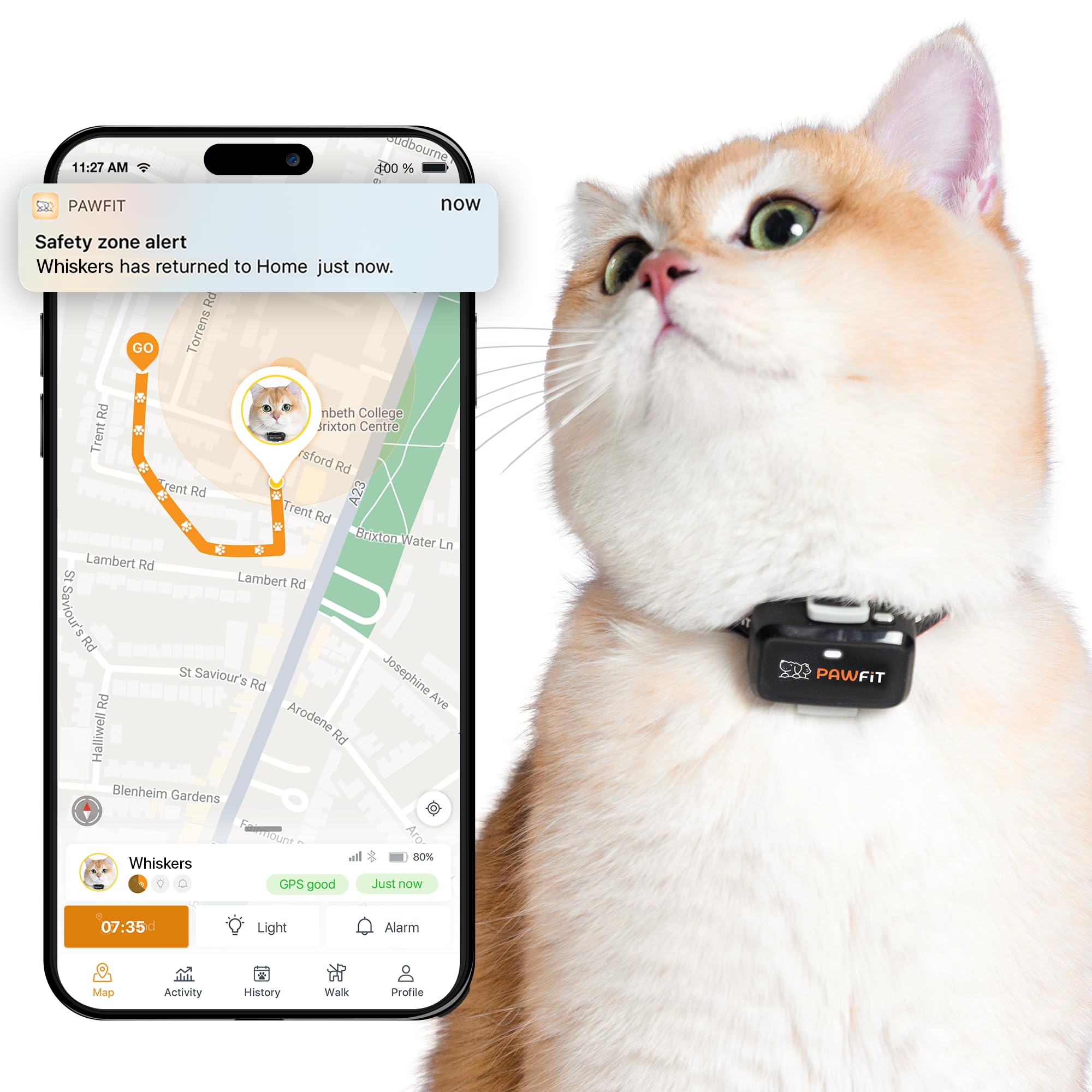 The best gps trackers for cats of 2026 for 2026 Pawfit Lite for Cats 4g GPS Tracker | Ultra-Small (
