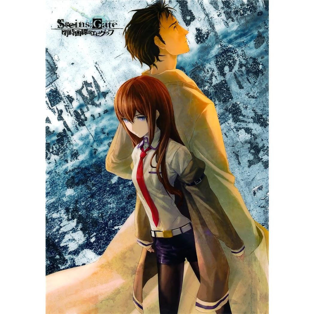 Amazon.com: Monty Arts Steins Gate Poster by Silk Printing # Size