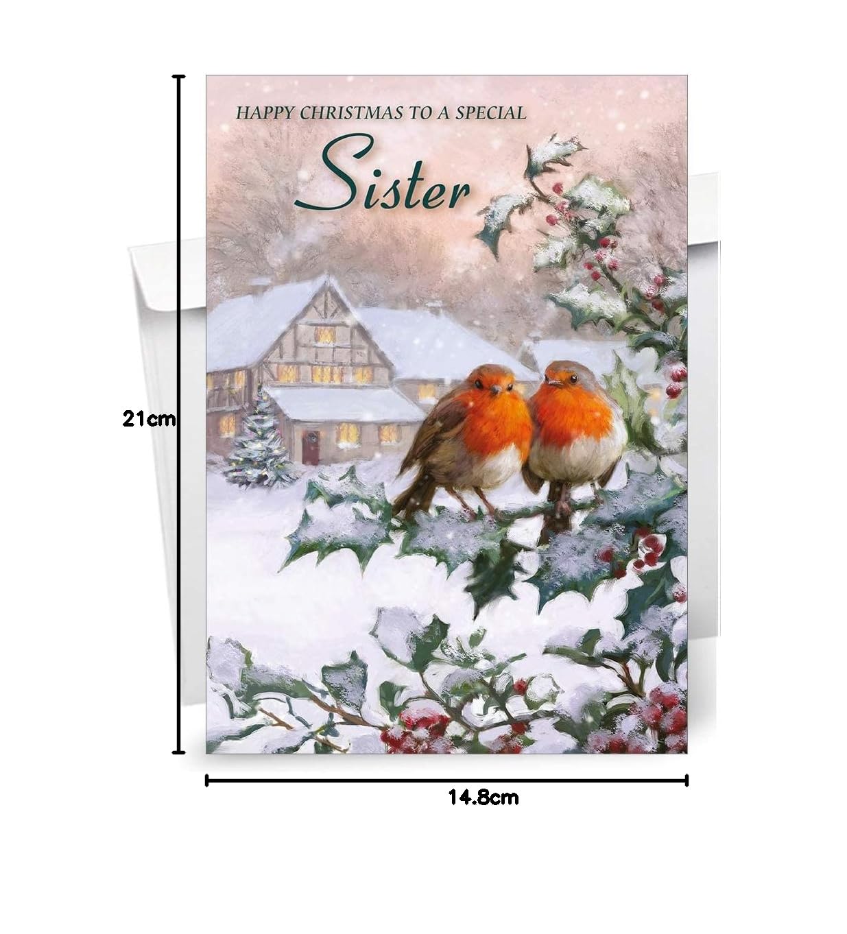 Tarjeta de Navidad para hermana de Olivia Samuel – Dos Robins – Tarjeta de tamaño mediano brillante (A5 – 148 mm x 210 mm) con sobre despegar y sellar