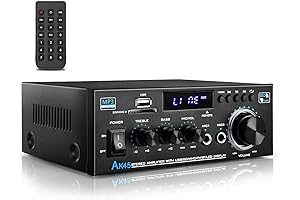 Dmyond 100 Watt Amplifier