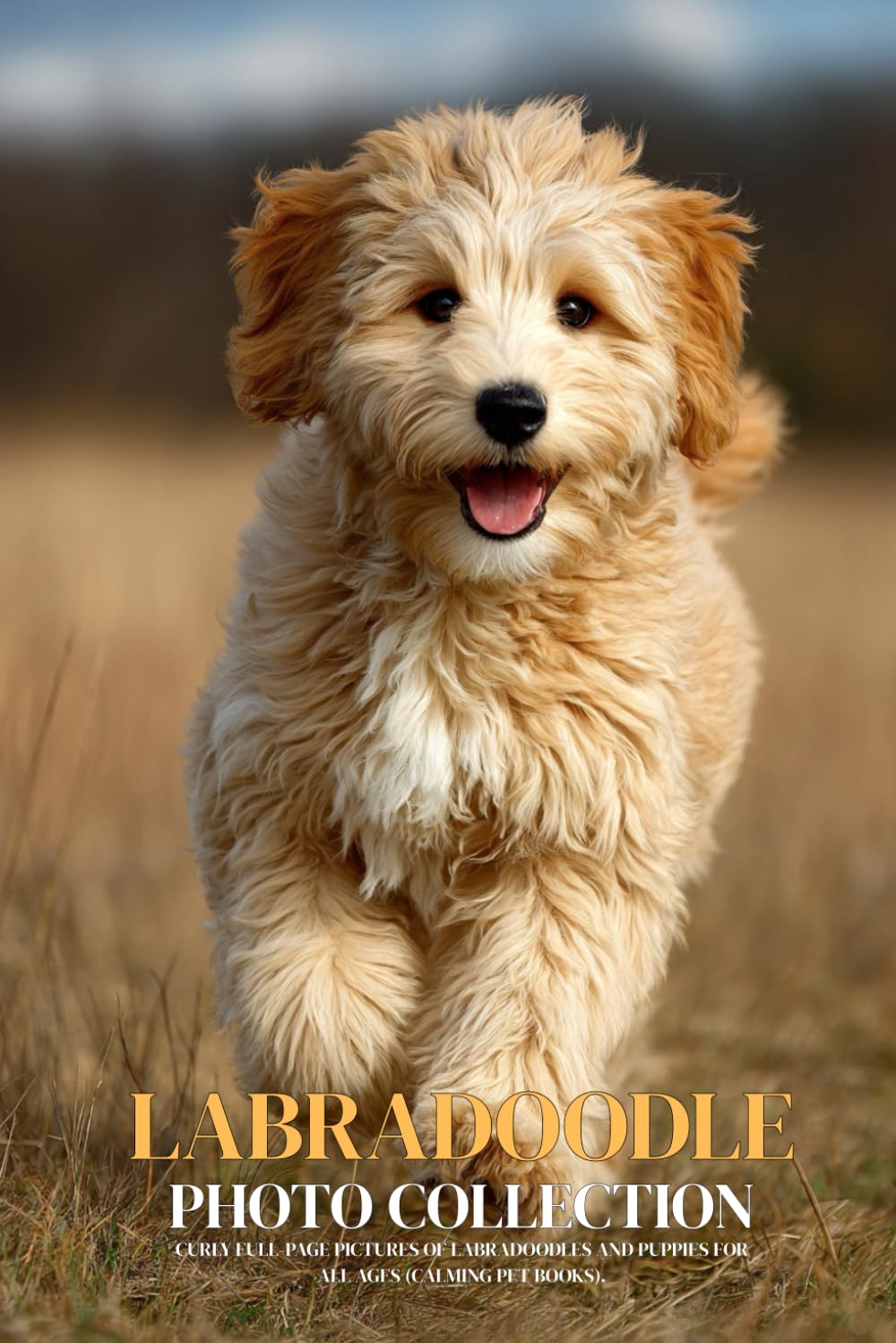 Labradoodle Photo Collection: Curly Full-Page Pictures of Labradoodles and Puppies for All Ages (Calming Pet Books).
