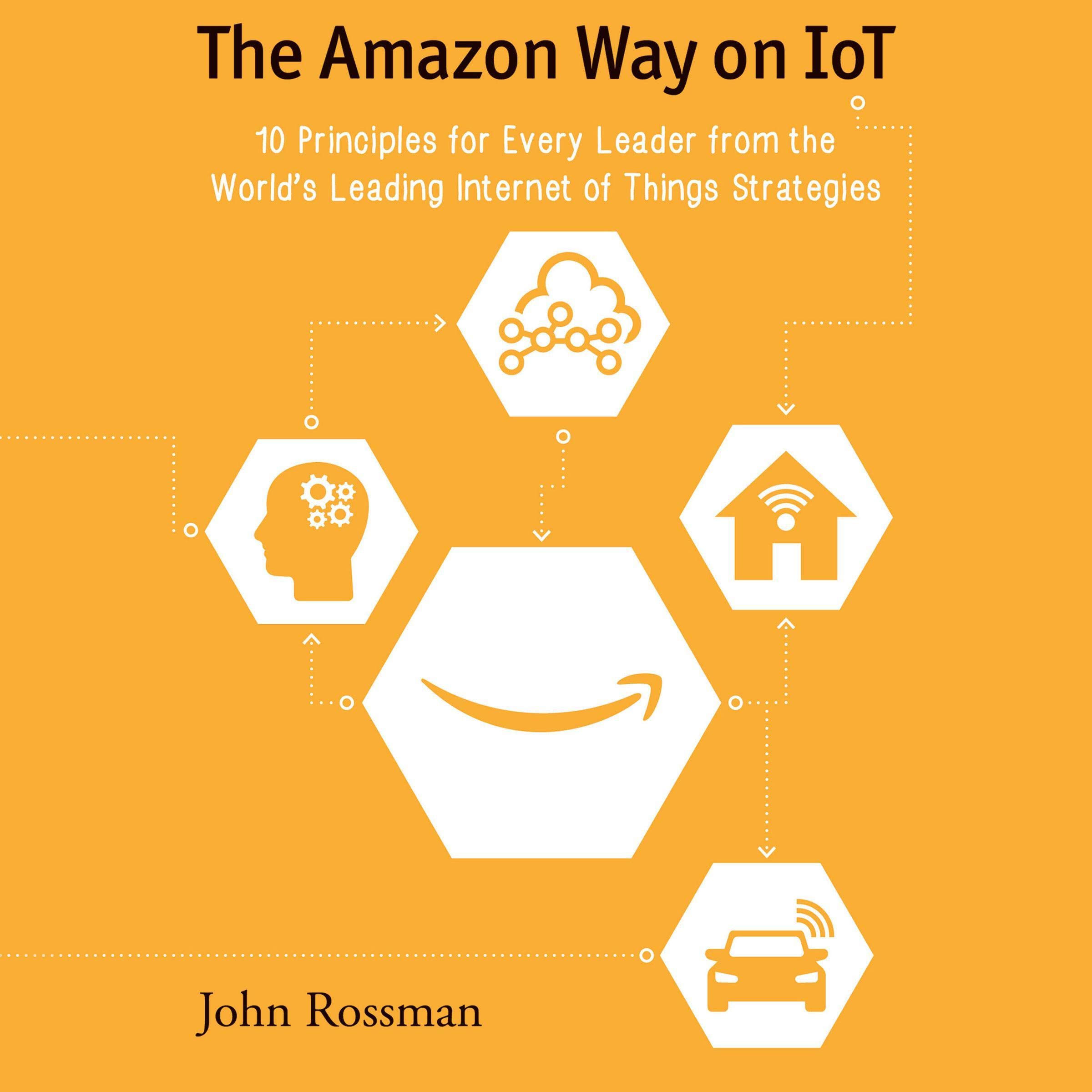 Cover art for The Amazon Way on IoT