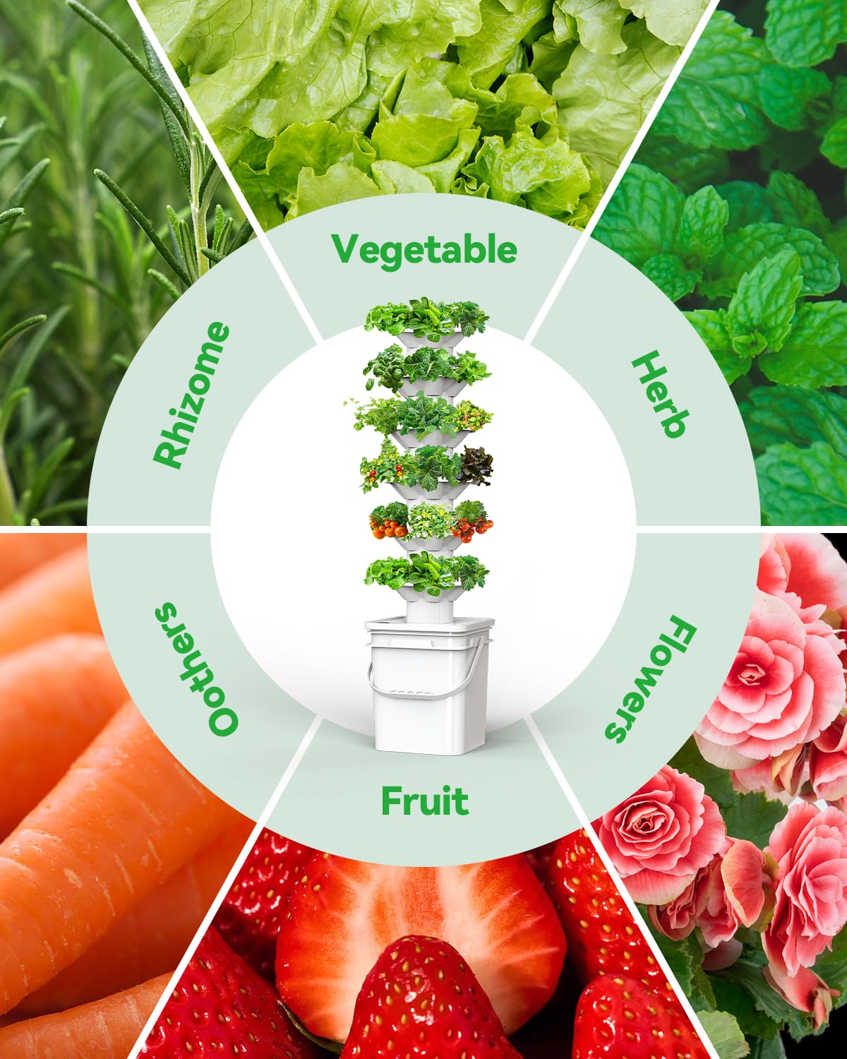 Amazon.com : sjzxuv Vertical Hydroponics Growing System Kit