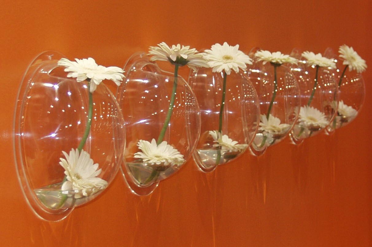 Boom Hemisphere Wall-Mount Fish Bowl, Clear