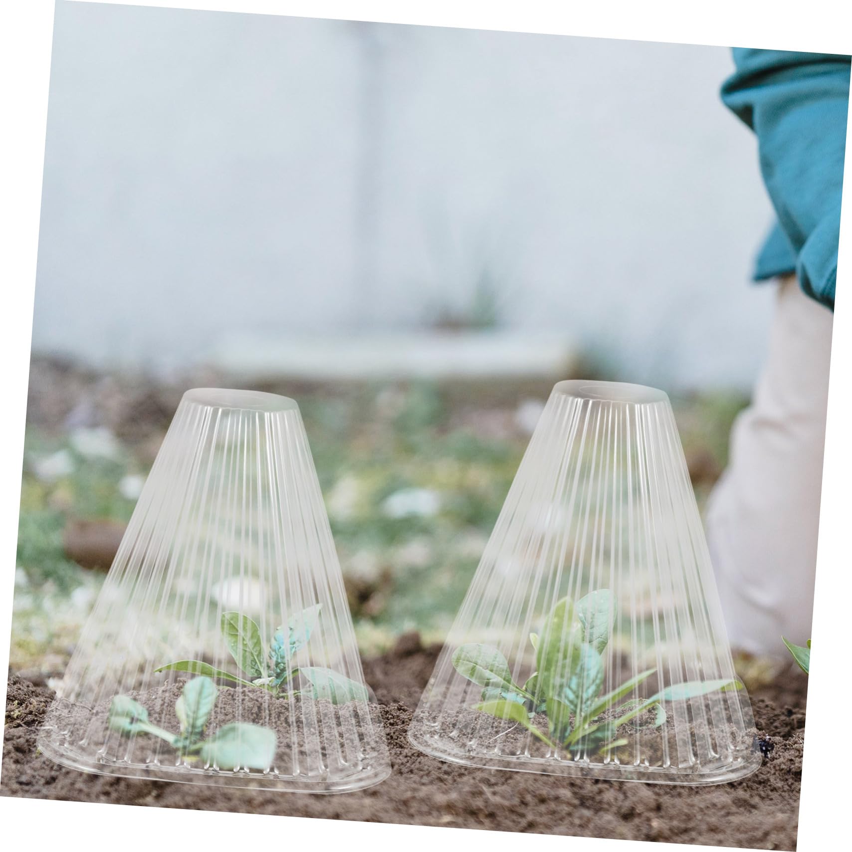 Toddmomy Cloche Conique de Protection pour Plantes, Lot de 10, Pet