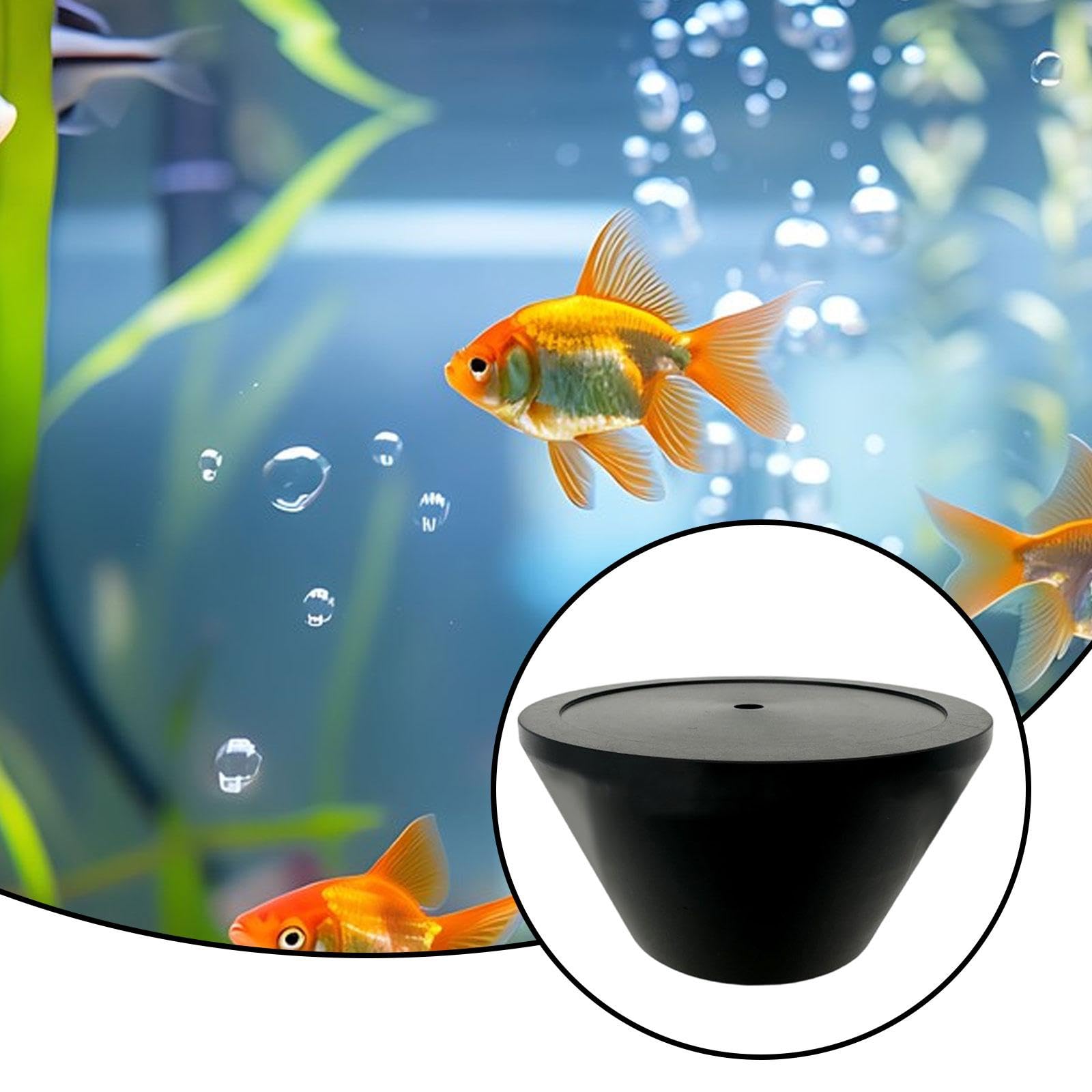 Support pour Bouteille de CO2 de 60 Mm, Compatible avec Les Systèmes D'aquarium.