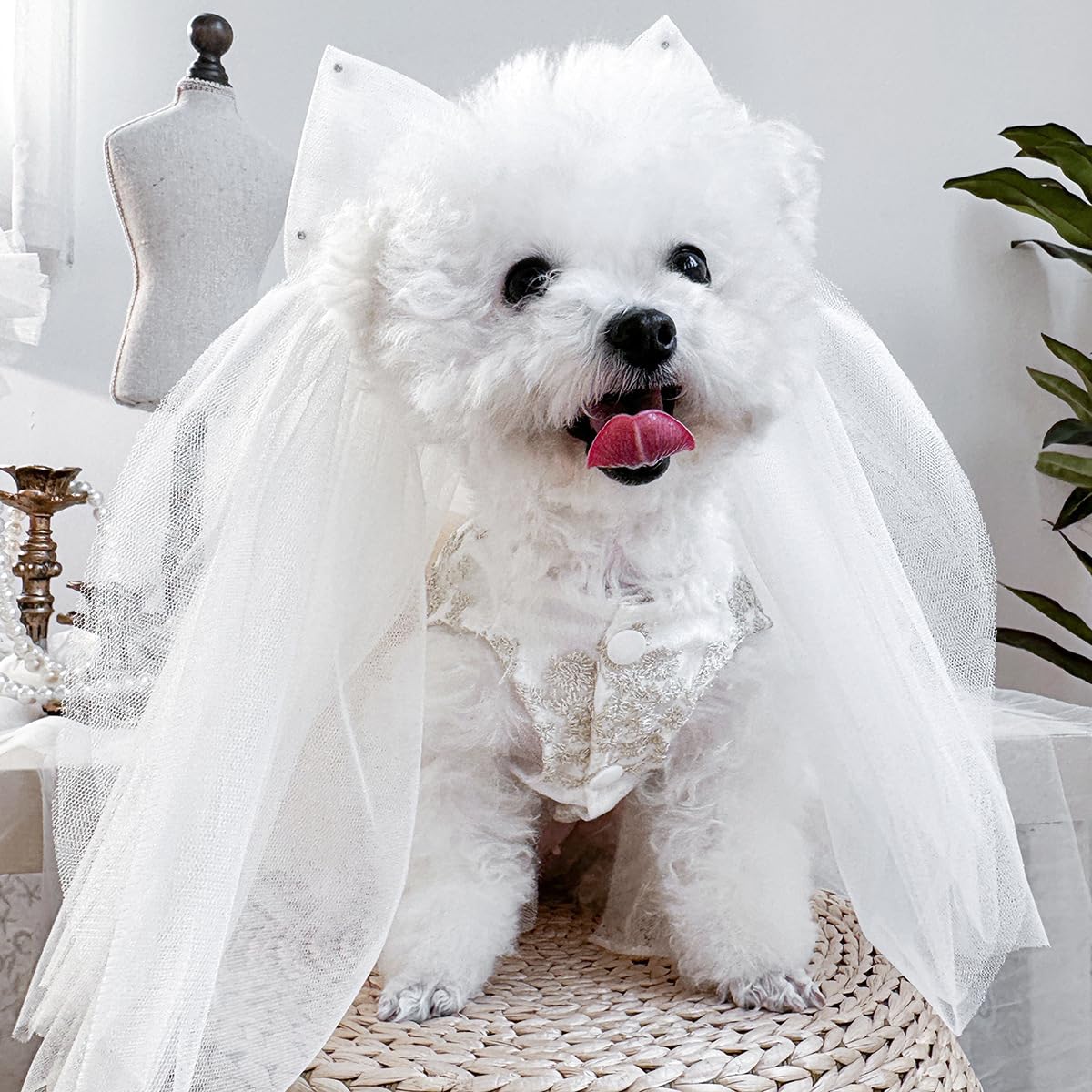 BT Bear Pet Wedding Veil, Small Dogs Hair Accessories with Clip Bow Veil - Image 3