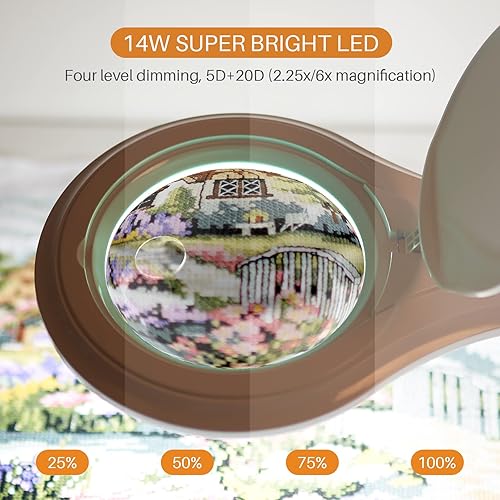 Vista 3 de Bifocals - Lámpara de aumento LED con abrazadera, 5 dioptrías con 20 dioptrías, lente de lupa de 5 pulgadas, lámpara de lupa regulable de 1200