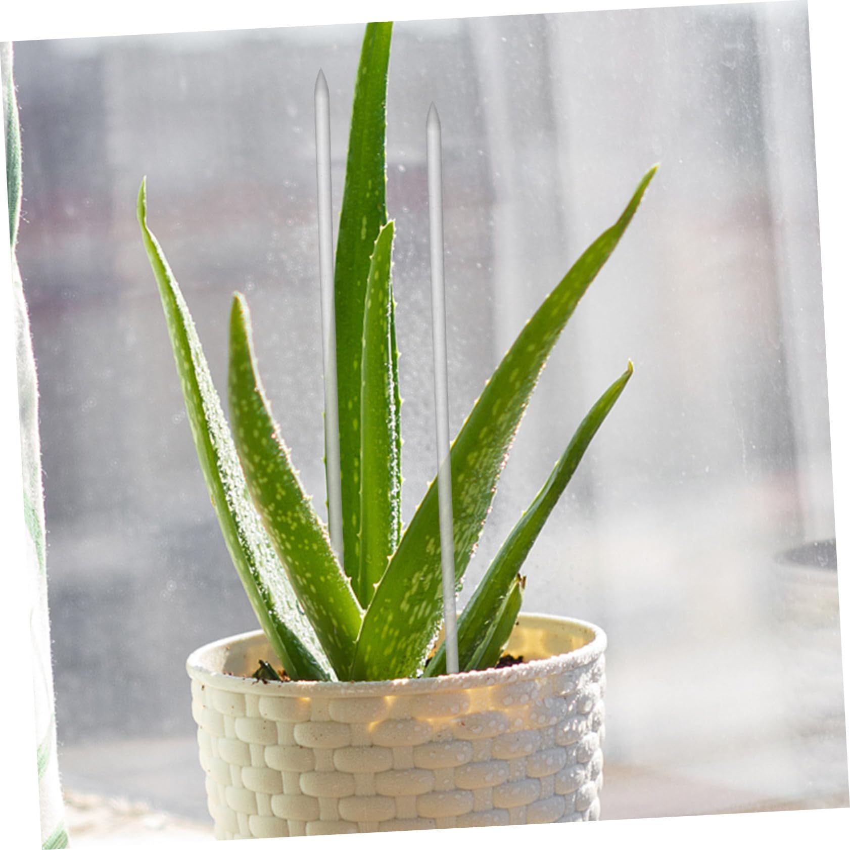 BESTonZON 2 Ensembles Support De Plantes Acrylique Transparent Lot de Piquets pour Fleurs Et Plantes Grimpantes Système De Soutien Vertical pour Et Intérieur 16 Pièces * 2