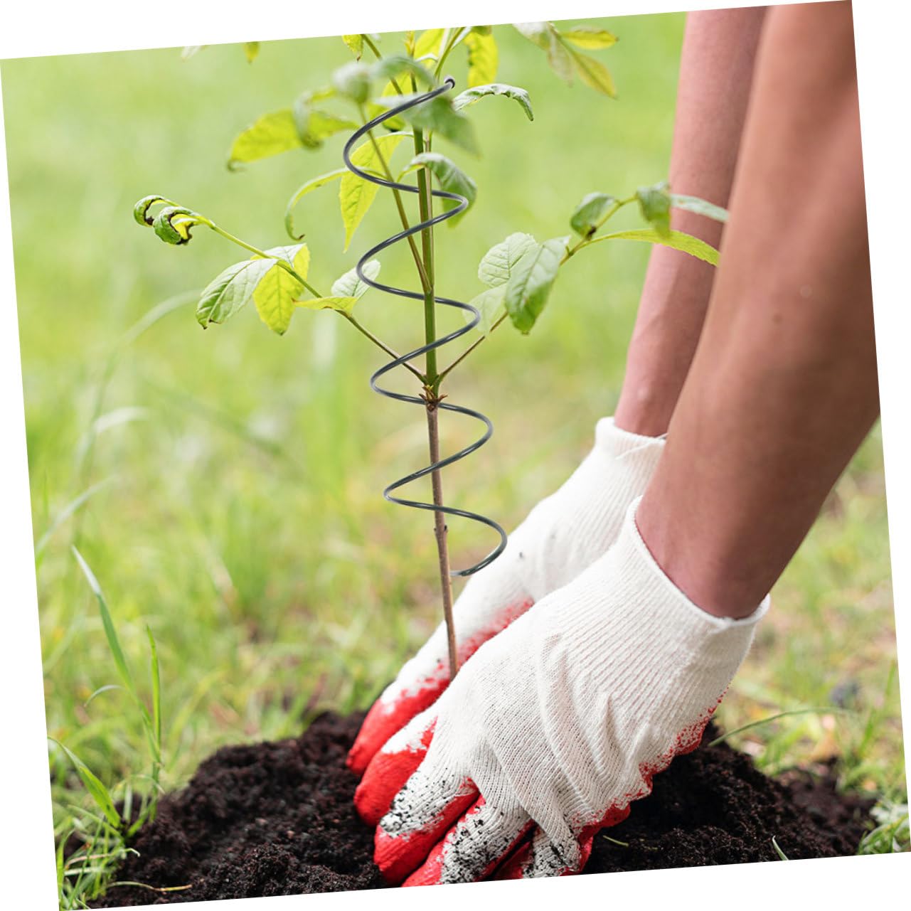 ORFOFE 8 Pièces de Tuteurs en Fer Spirale pour Plantes, Support Facile à Insérer, Protection Croissance des Plantes en Extérieur et Jardin