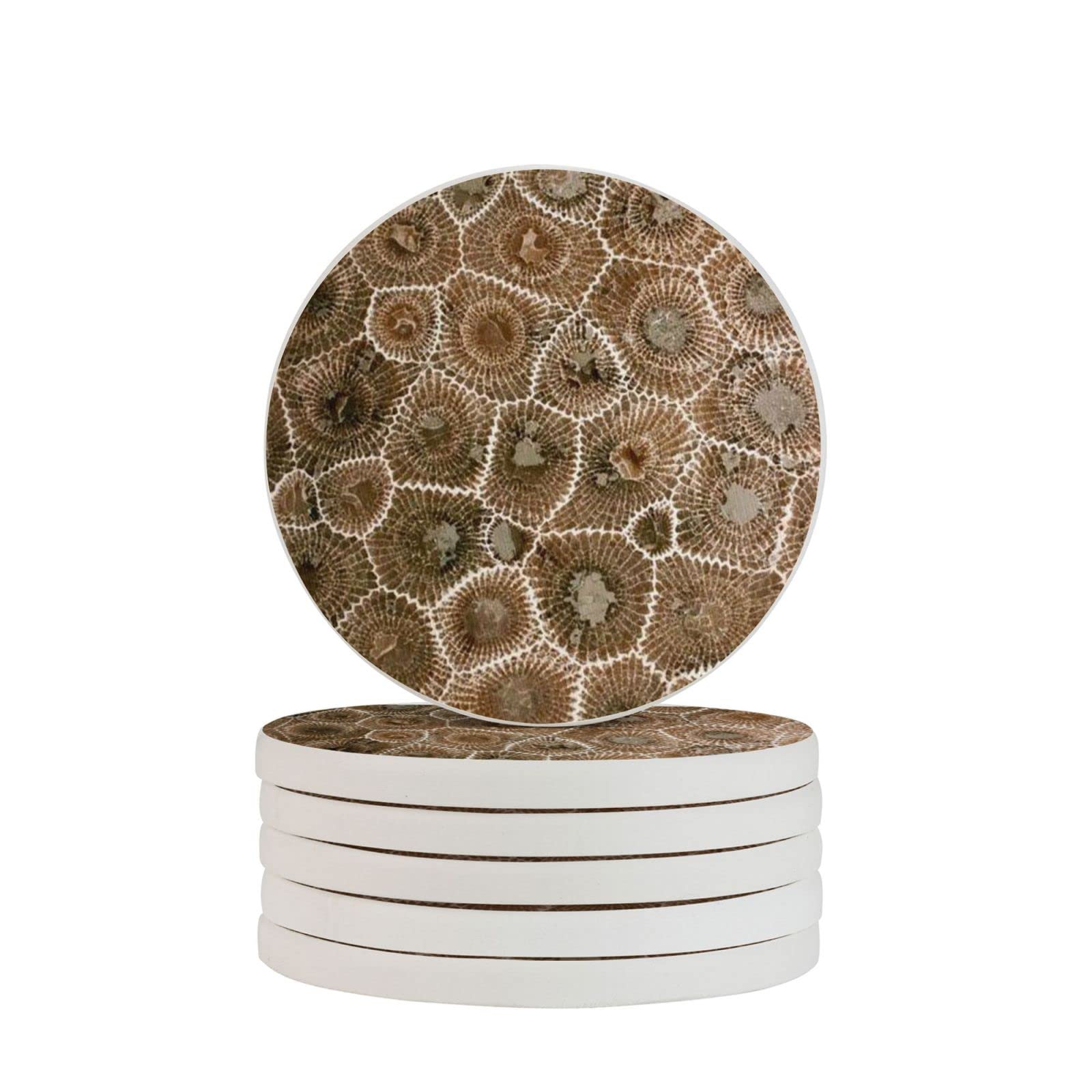 Petoskey Stone Six Piece Coaster Heat-Resistant Reusable Saucers for Drinks Wine Glasses Plants Cups Mugs