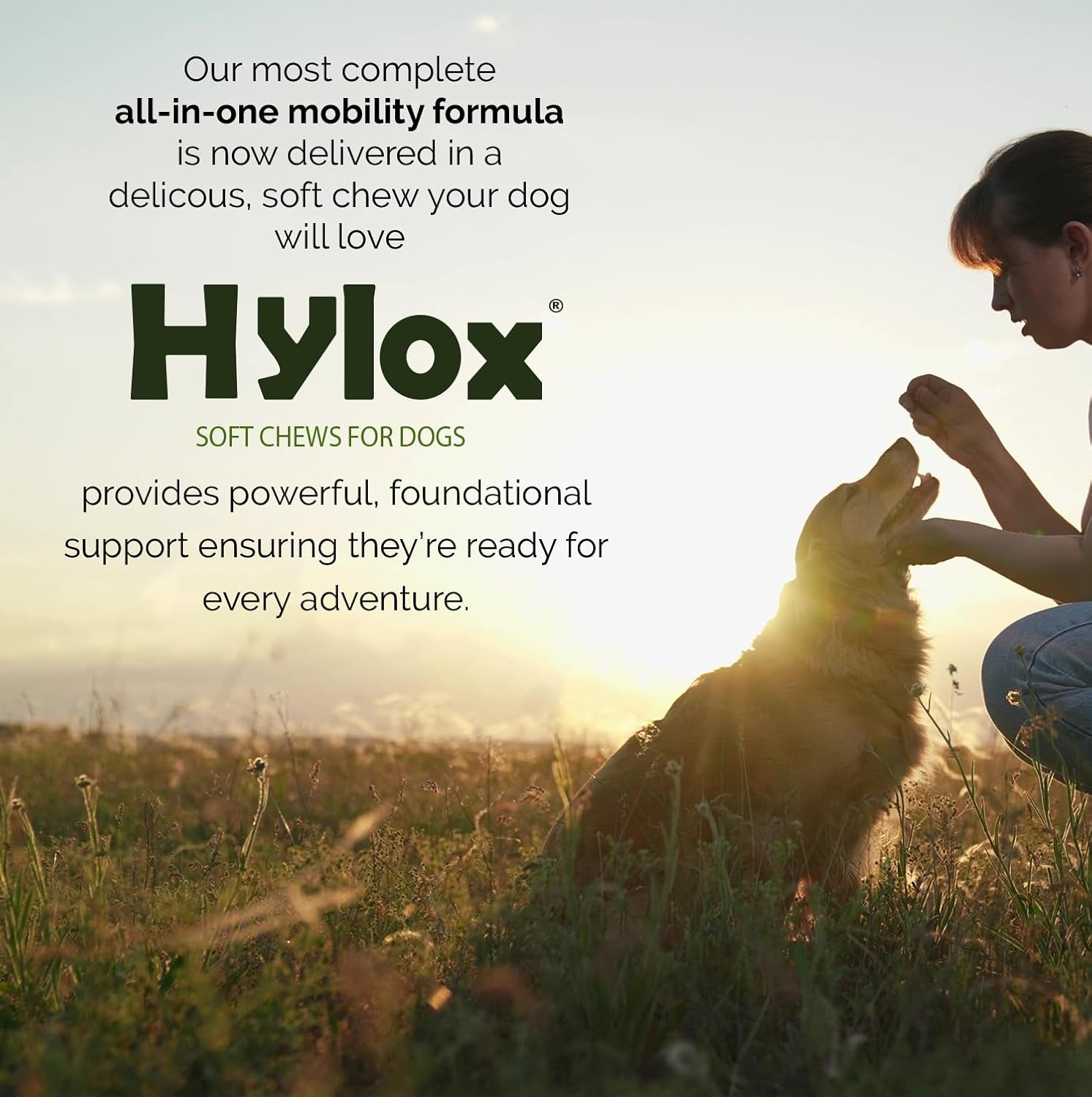 Hylox Soft Chews for Dogs – Joint Support with Glucosamine, MSM, Creatine, Hyaluronic Acid, Turmeric, EPA & DHA – Supports Joints & Cushions Connective Tissues – NASC Certified – 120 Soft Chews