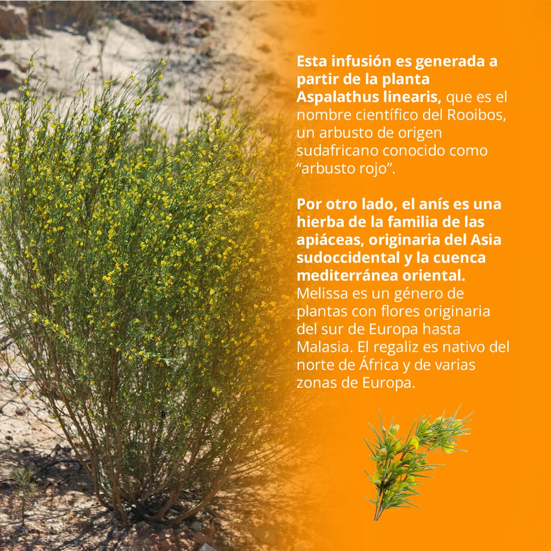 Viveza Cítrica Dulzura Infusión Rooibos con Naranja y Azahar Sin Teína Caja 15 Pirámides 37,5 gr